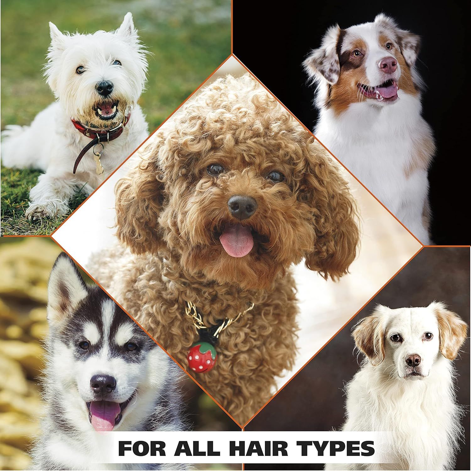Demonstrates that the product works effectively across multiple dog breeds with different coat types, reassuring shoppers of its versatility and broad applicability.