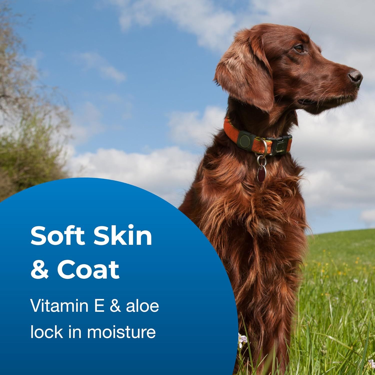 Communicates that the product promotes healthy, soft skin and coat for dogs through moisturizing ingredients like Vitamin E and aloe.
