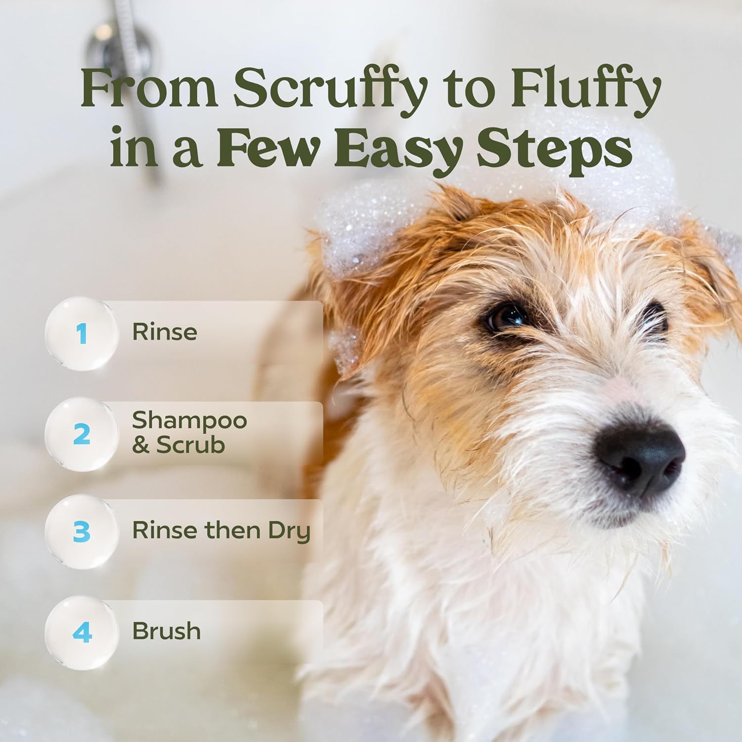 Provides a clear, numbered step-by-step guide to help pet owners understand how to groom their dog from scruffy to fluffy, making the process simple and approachable.