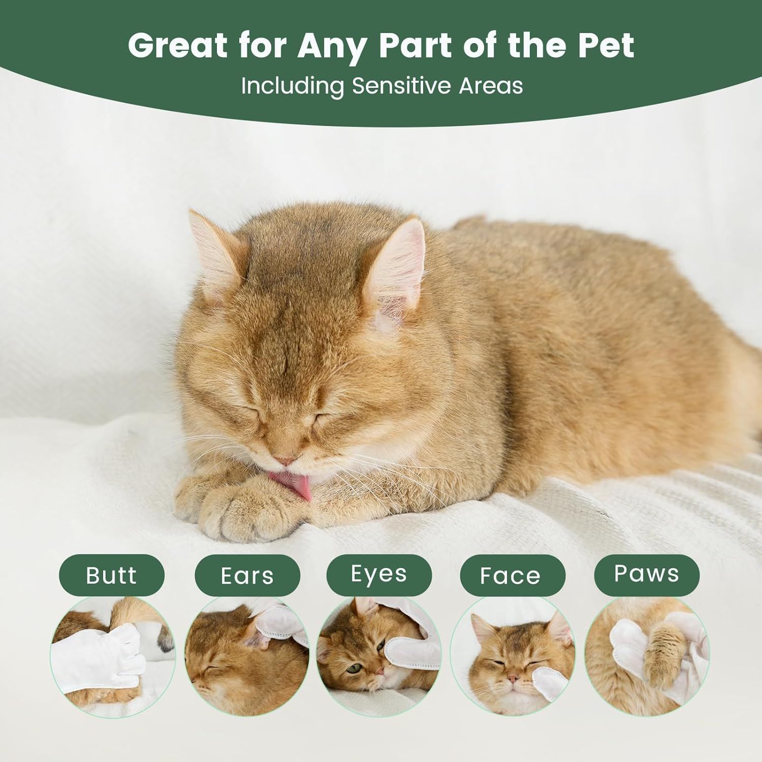 Demonstrates that the product can be safely used on multiple parts of a pet's body, including sensitive areas like ears, eyes, face, paws, and butt, reassuring pet owners of its versatility and…