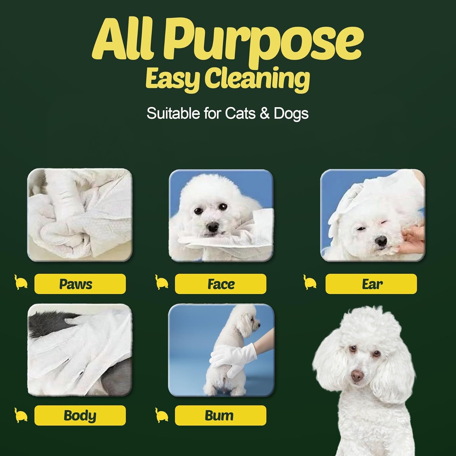 Demonstrates the versatility of the cleaning product by showing it can be used on multiple areas of cats and dogs, reassuring pet owners of its all-purpose functionality.