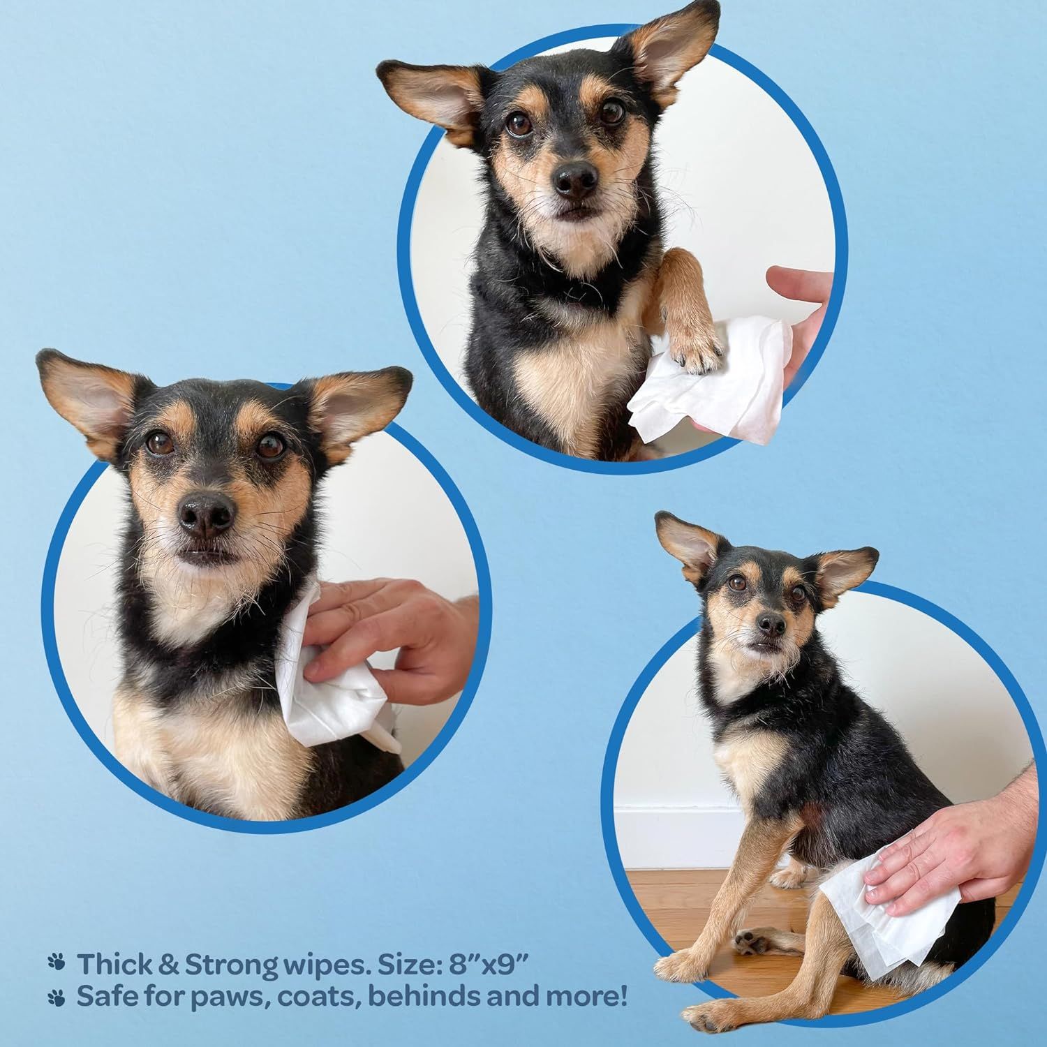 Demonstrates the versatility of the wipes by showing multiple ways to use them on a dog—cleaning paws, coat, and other areas—to reassure pet owners that the product works for various grooming needs.…