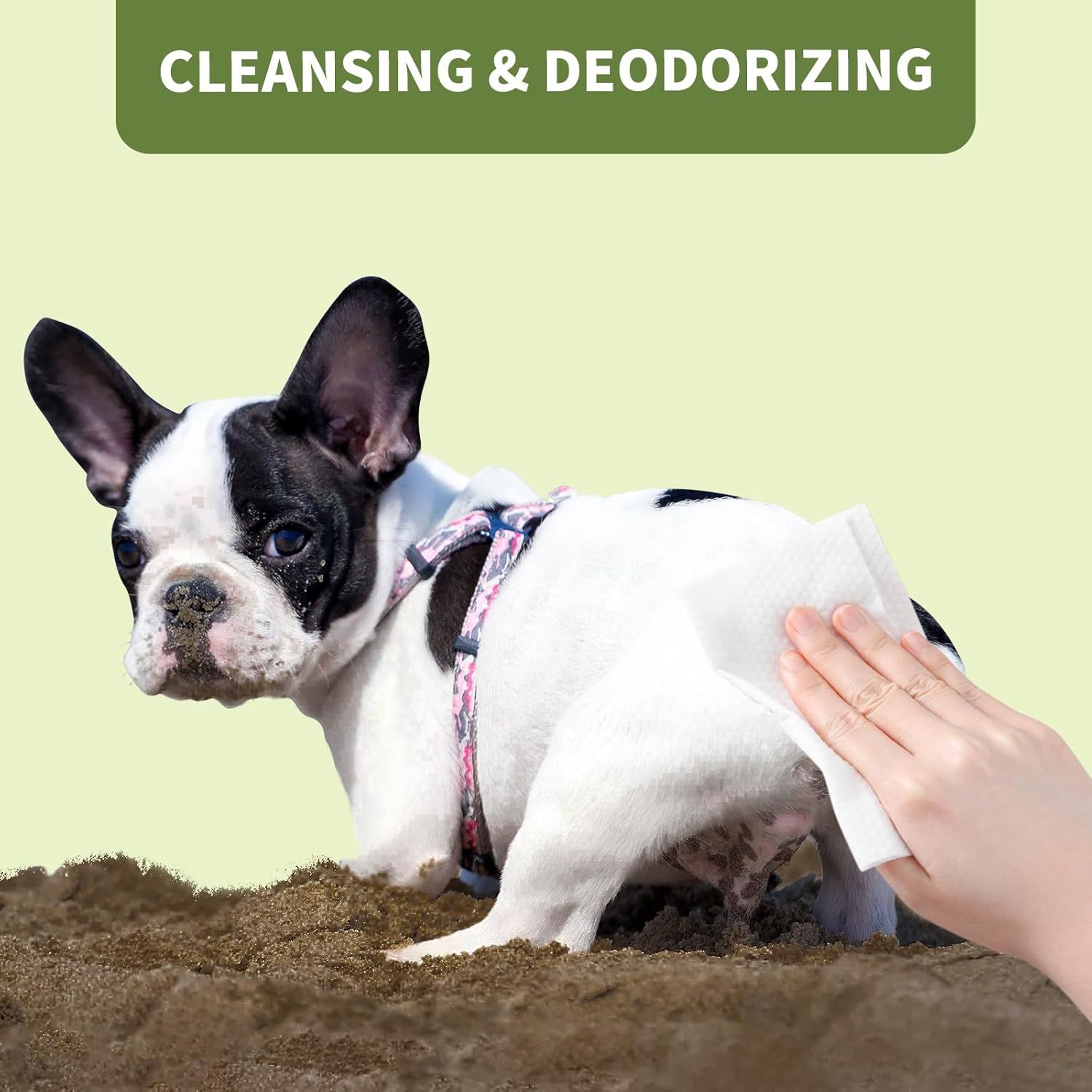 Demonstrates the product's ability to clean and deodorize pets, showing a real-world application with a dog being wiped clean after outdoor play.