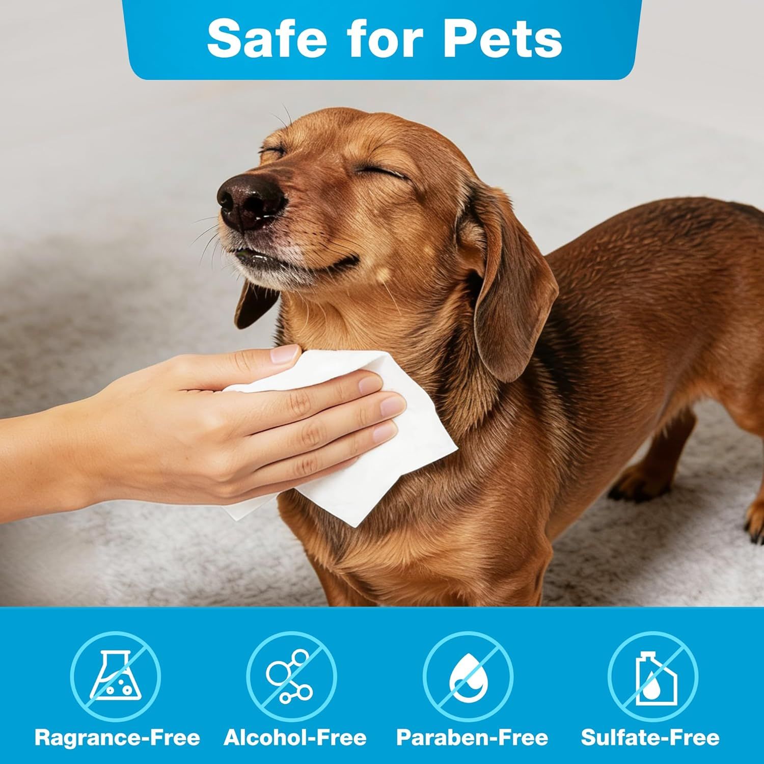 Reassures pet owners that the product is safe for use around animals by highlighting that it is free from harmful chemicals and irritants. Communicates multiple safety benefits through a segmented…