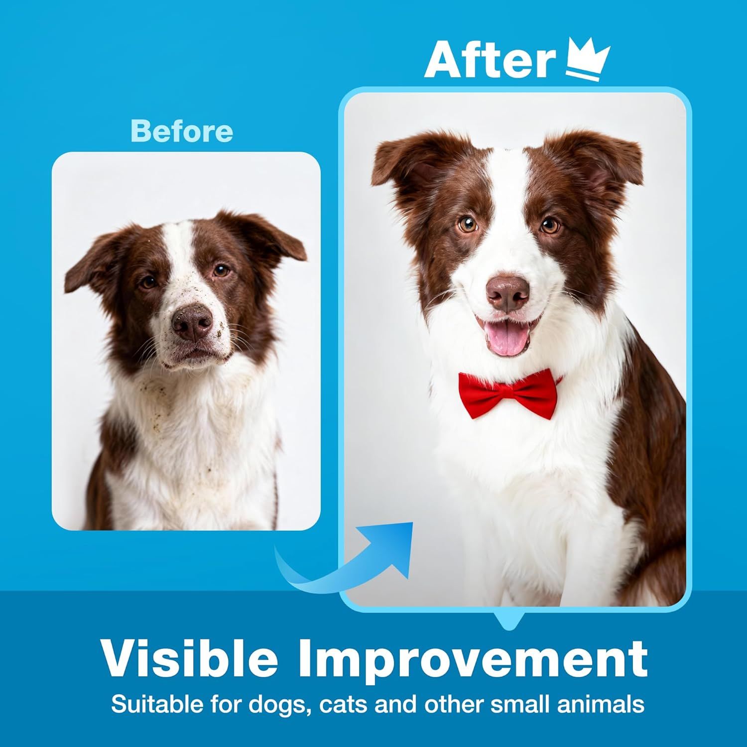 Demonstrates the dramatic transformation and cleaning results achieved by using the product, showing a dirty, unkempt dog becoming clean, groomed, and happy to prove the product's effectiveness for…