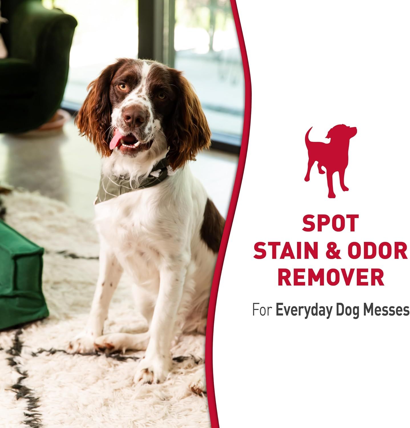 Communicates that the product effectively removes pet stains and odors from everyday dog messes, reassuring pet owners of its cleaning capability.