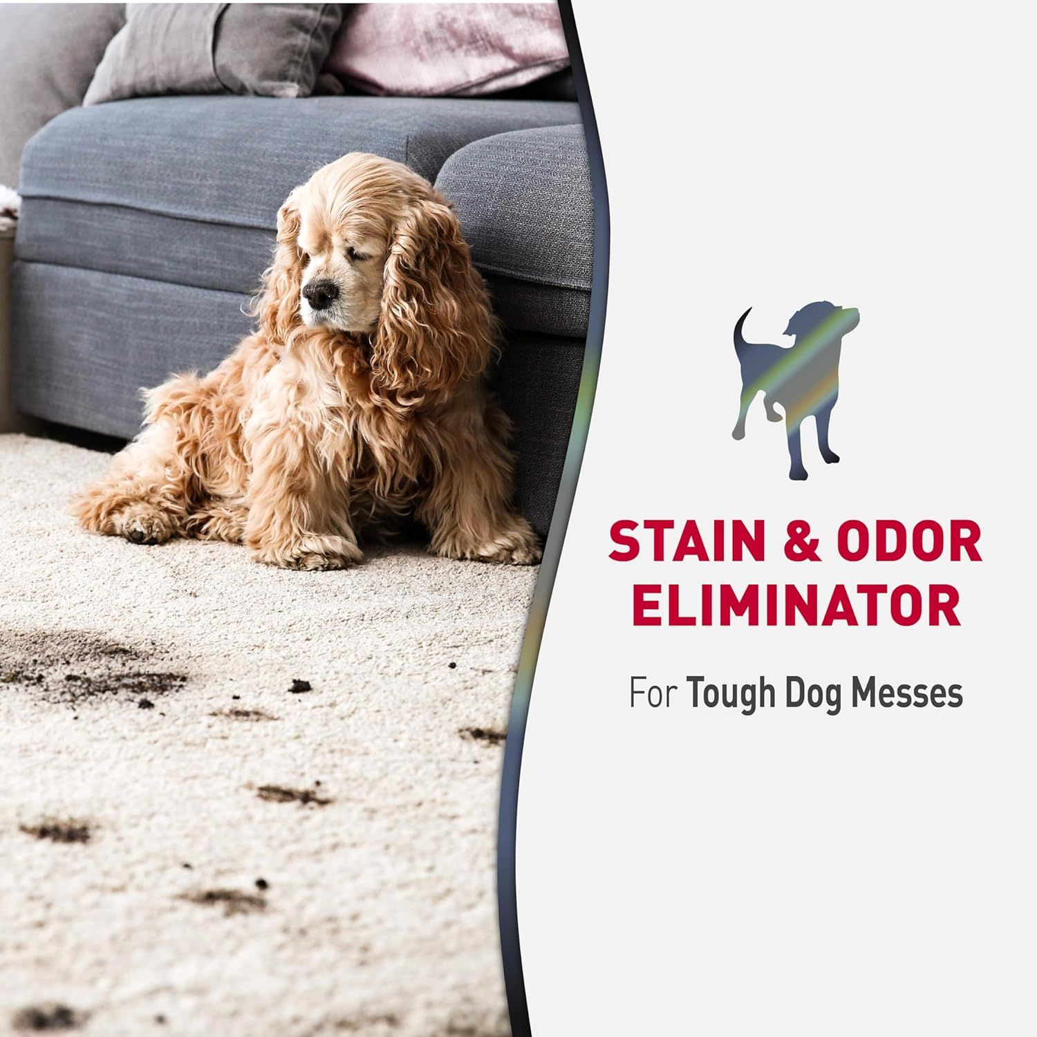 Communicates the product's ability to eliminate tough pet stains and odors, reassuring pet owners that it can handle difficult messes from dogs.