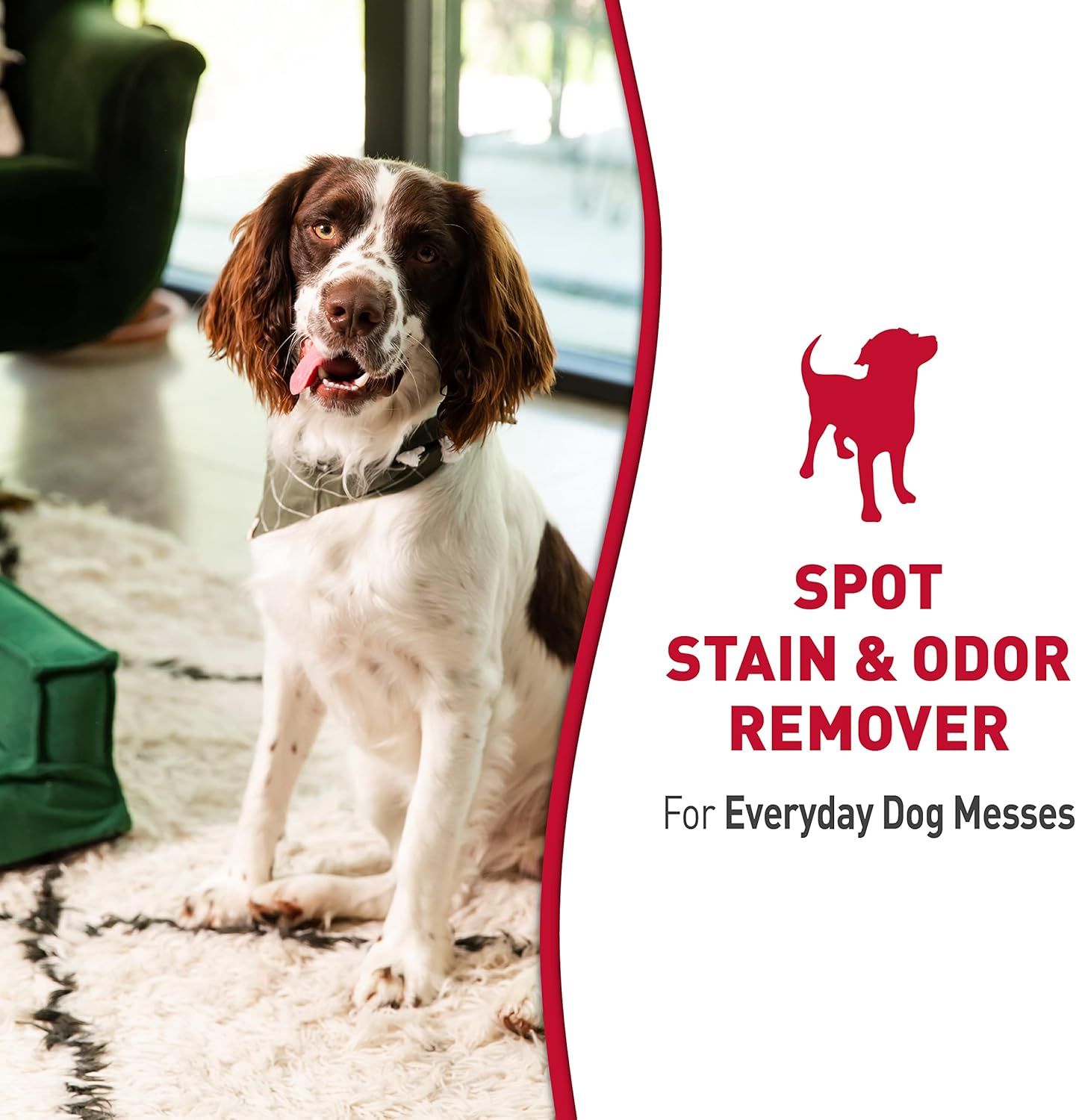 Communicates that the product is designed to handle everyday pet messes, specifically targeting stain and odor removal for dog owners.