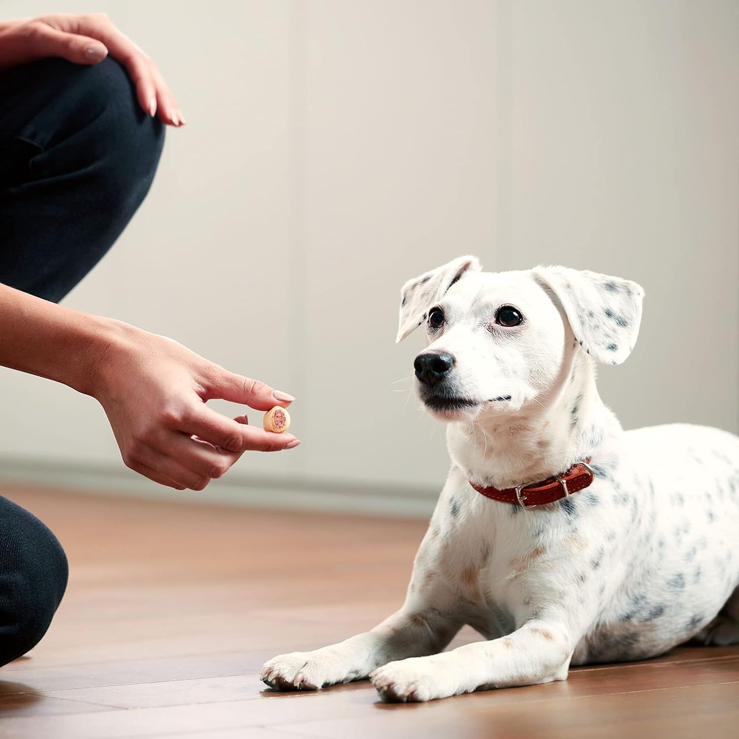 Demonstrates the product in a natural, real-world context showing a person giving a treat to their dog, creating an emotional connection and helping shoppers visualize using the product with their…