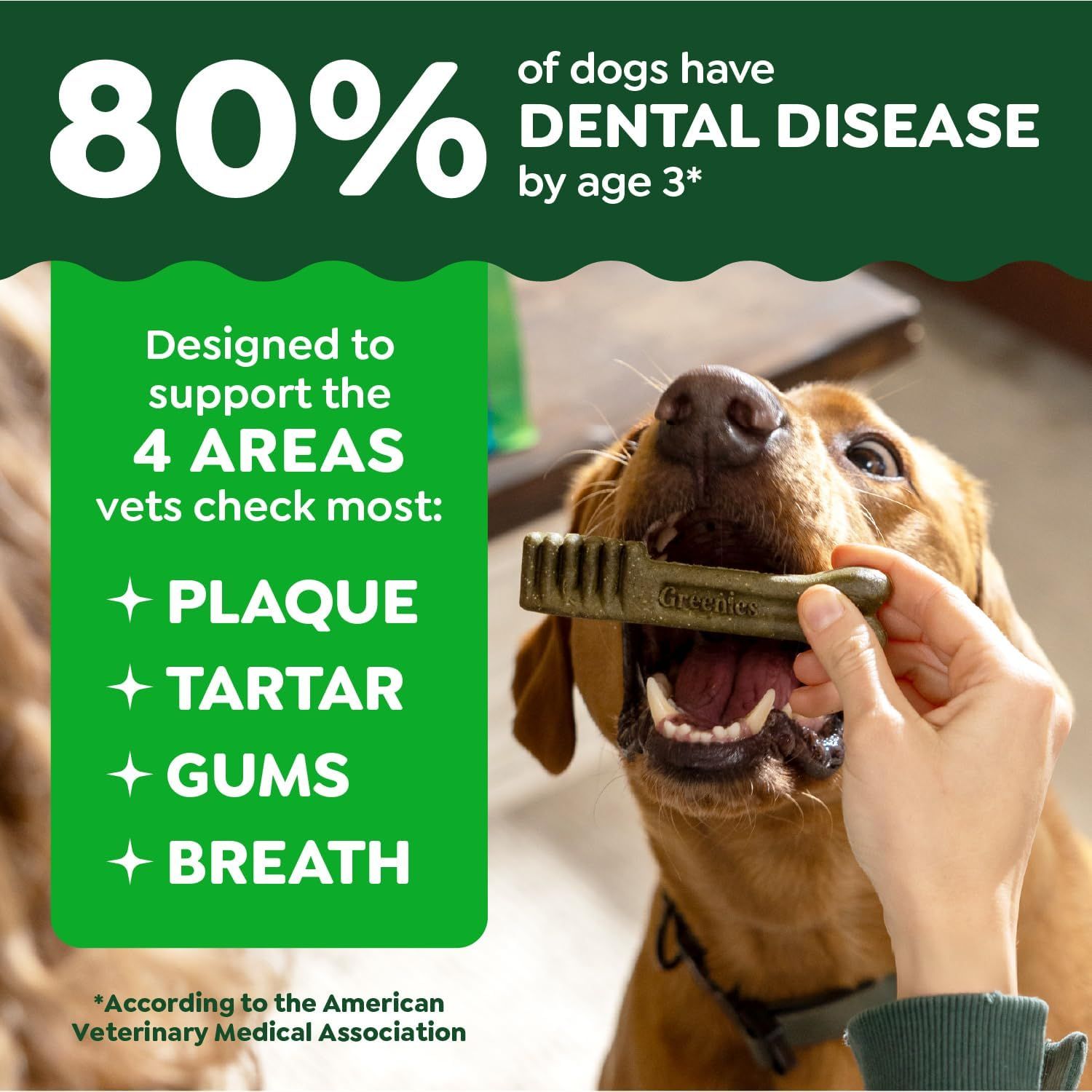 Communicates a compelling statistic about canine dental health to establish the need for the product and reassure shoppers that this dental chew addresses a widespread problem. Highlights four…