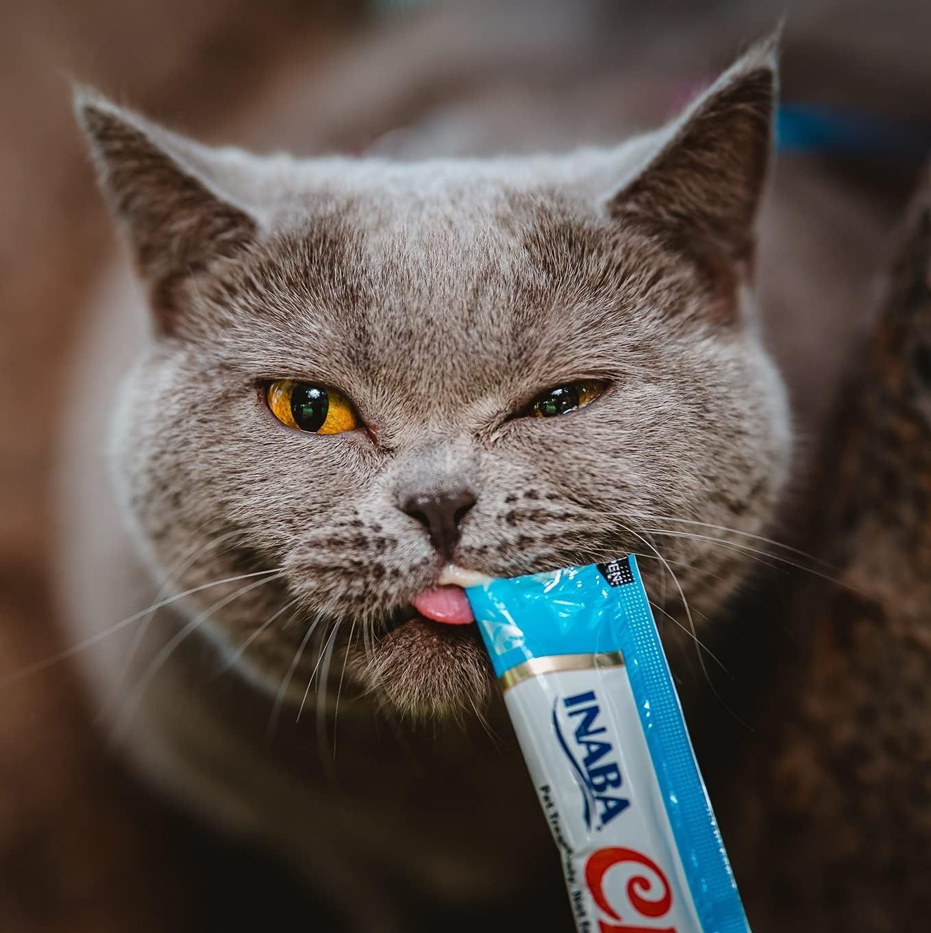 Shows the product being enjoyed by a pet in a real-world context to create emotional connection and demonstrate palatability.