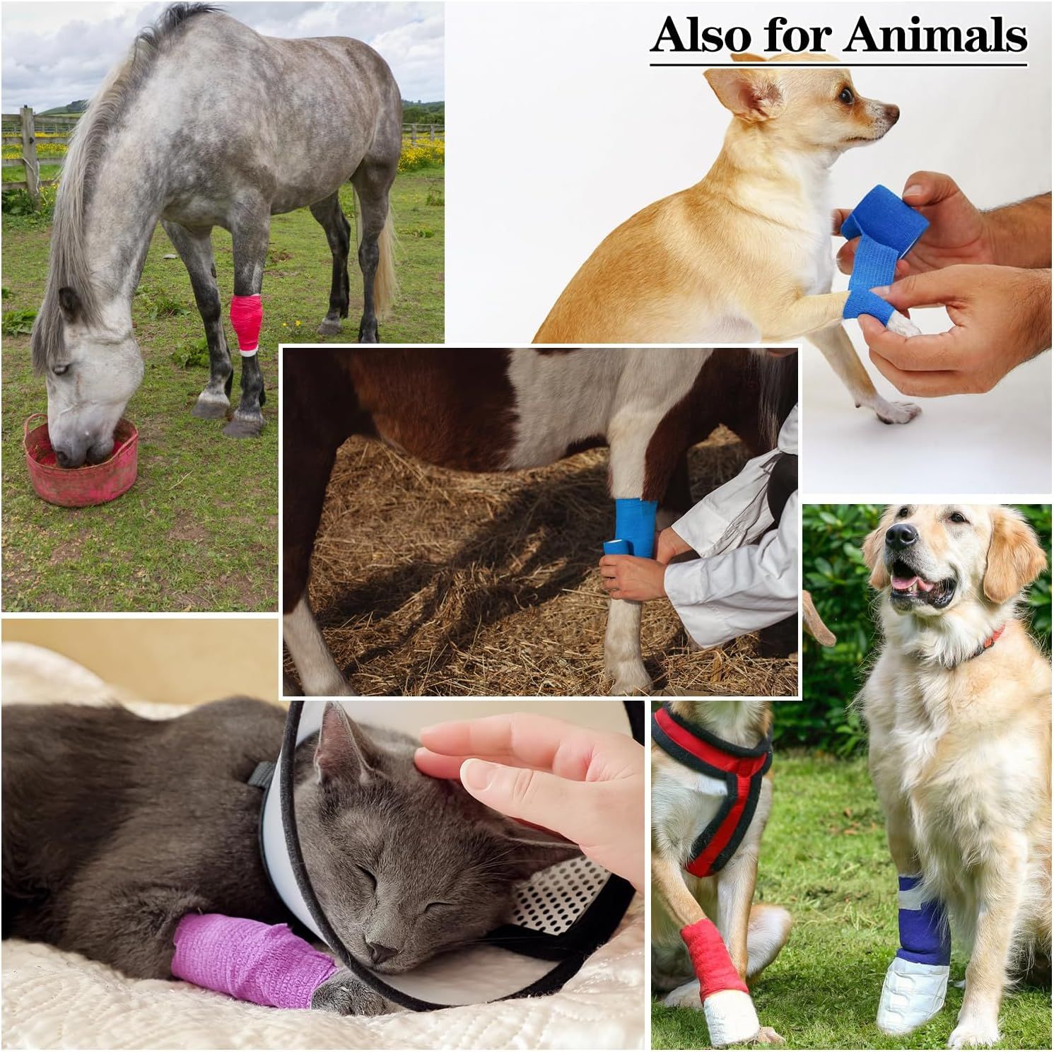 Demonstrates that the product (bandage/wrap) is versatile and suitable for multiple types of animals, reassuring shoppers that it works across different pets and livestock.
