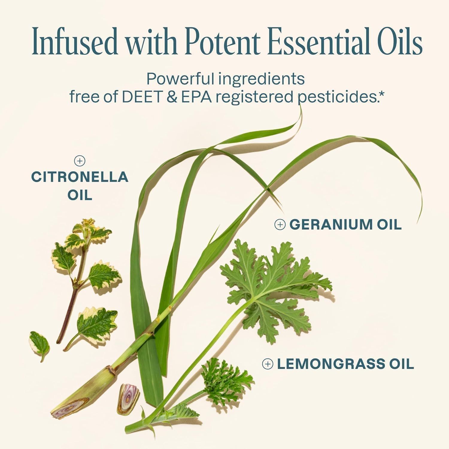 Breaks down the product's key natural ingredients (essential oils) to communicate what the product is made of and reassure shoppers about its natural, pesticide-free formulation.