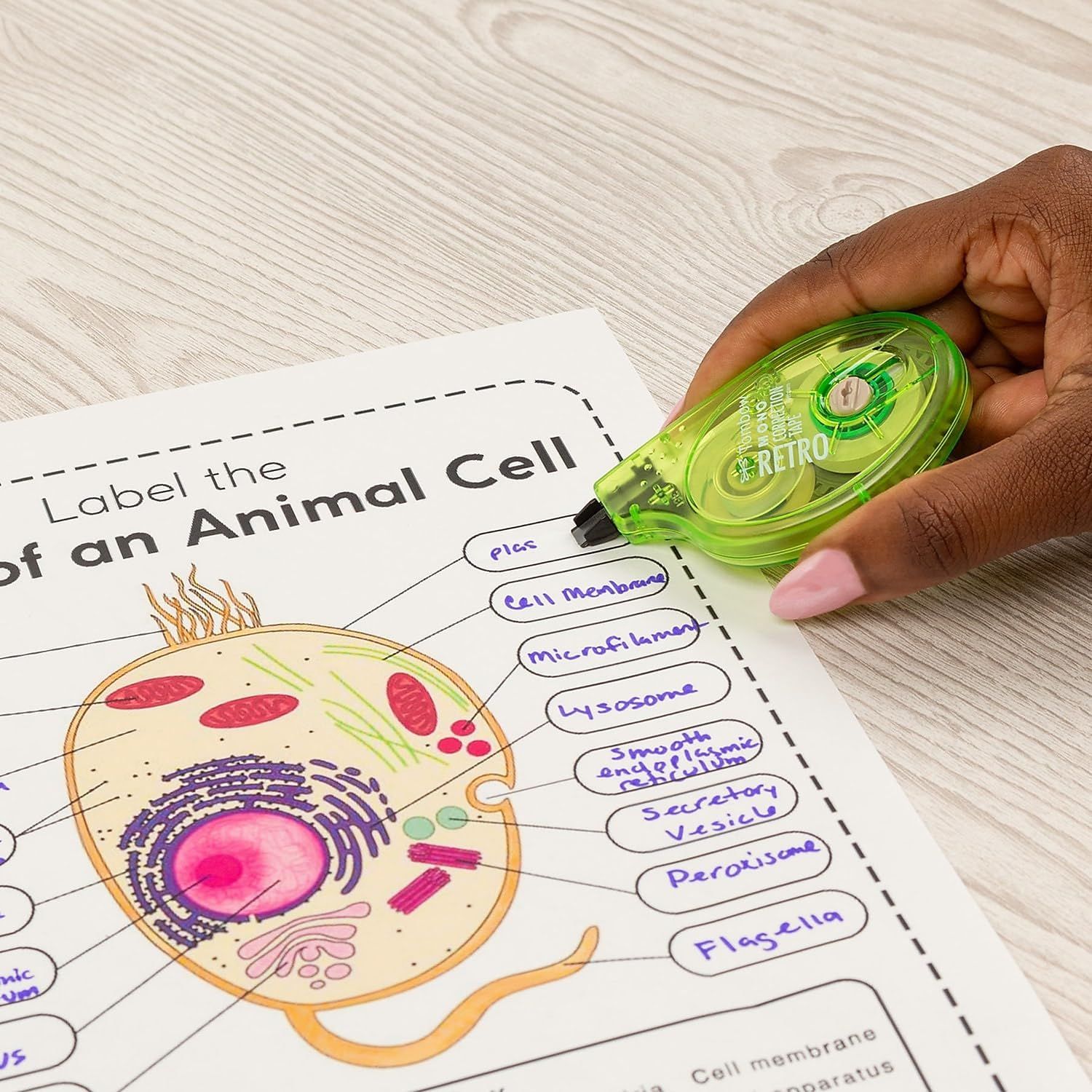 Demonstrates the product being used in a real-world educational context to show its practical application for students completing schoolwork and labeling assignments.