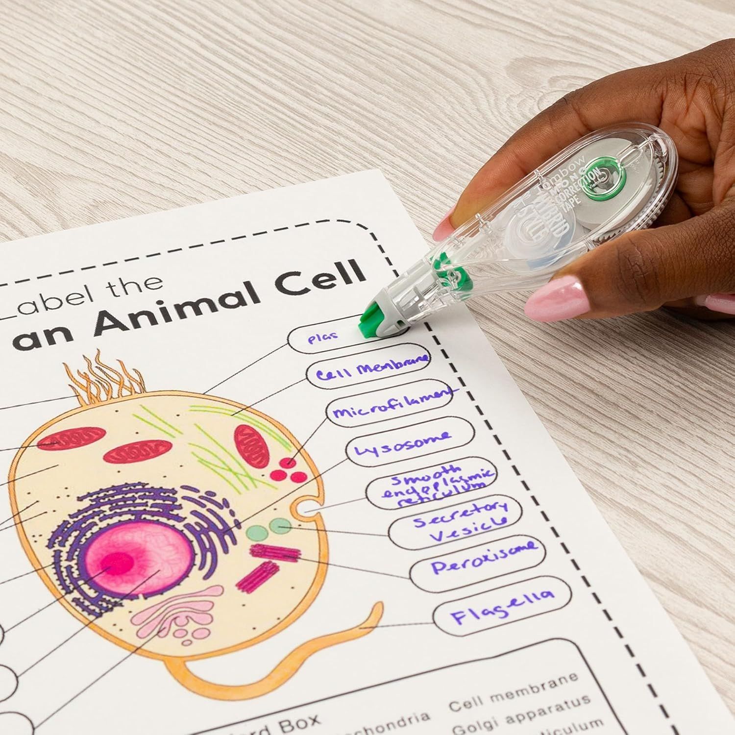 Displays the product in a real-world usage context to show shoppers how the correction tape is used for educational or office tasks.