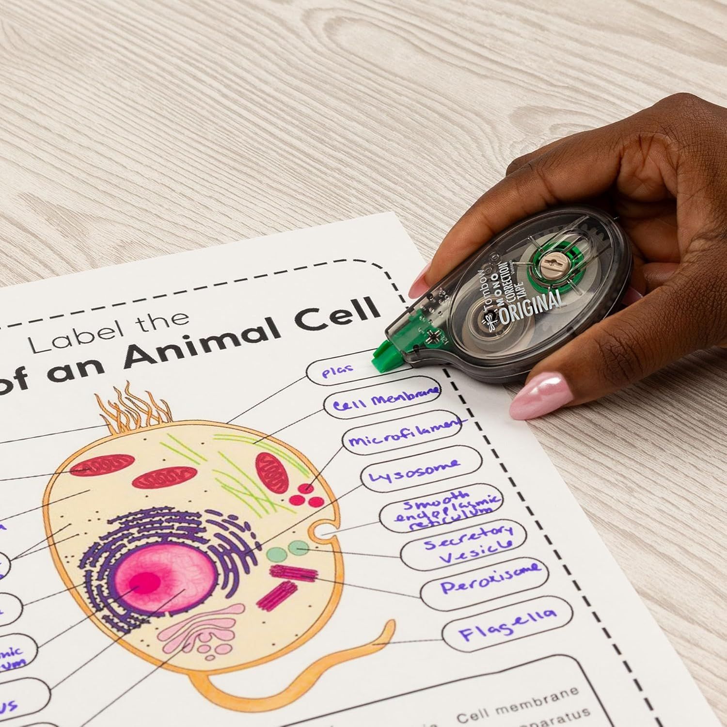 Demonstrates the product being used in a real-world educational setting to show its practical application for students completing schoolwork and labeling diagrams.