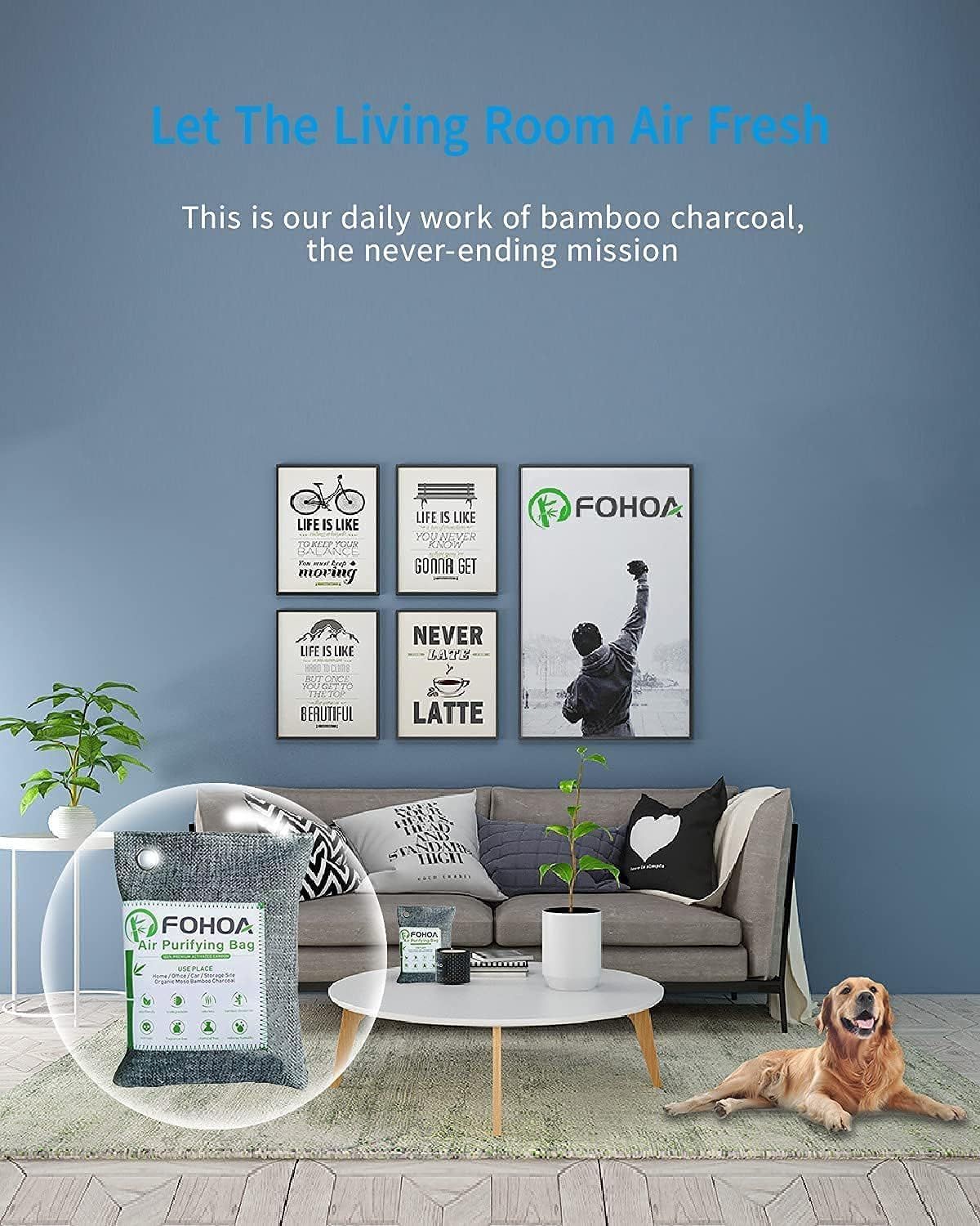 Demonstrates the product in use within a living room environment to show shoppers where and how the bamboo charcoal air purifying bag can be placed to keep indoor air fresh. Shows the product…