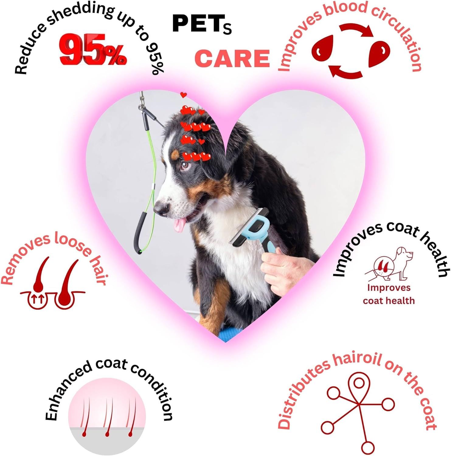 Communicates multiple distinct benefits of the pet grooming tool in a segmented layout, showing shoppers how the product addresses shedding, coat health, circulation, and grooming needs.