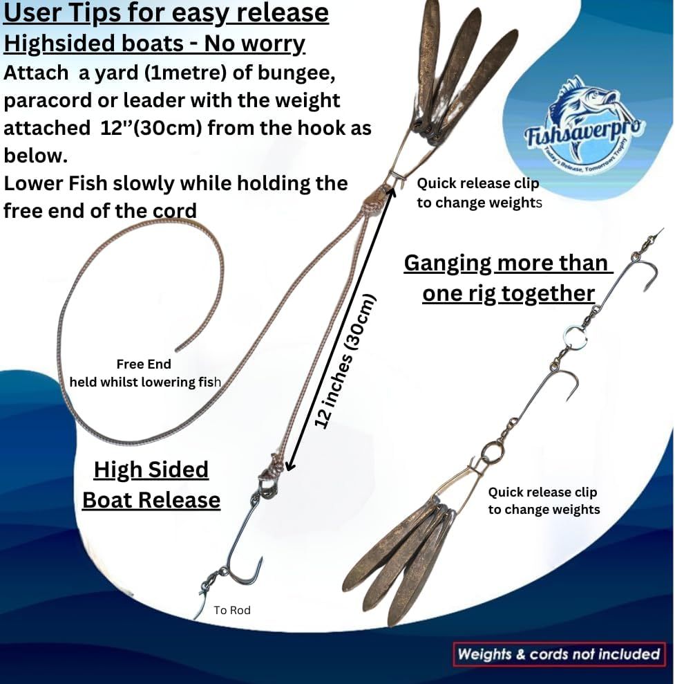 Instructs anglers on how to safely release fish from high-sided boats using a specific cord and weight setup, emphasizing ease of use and proper technique.