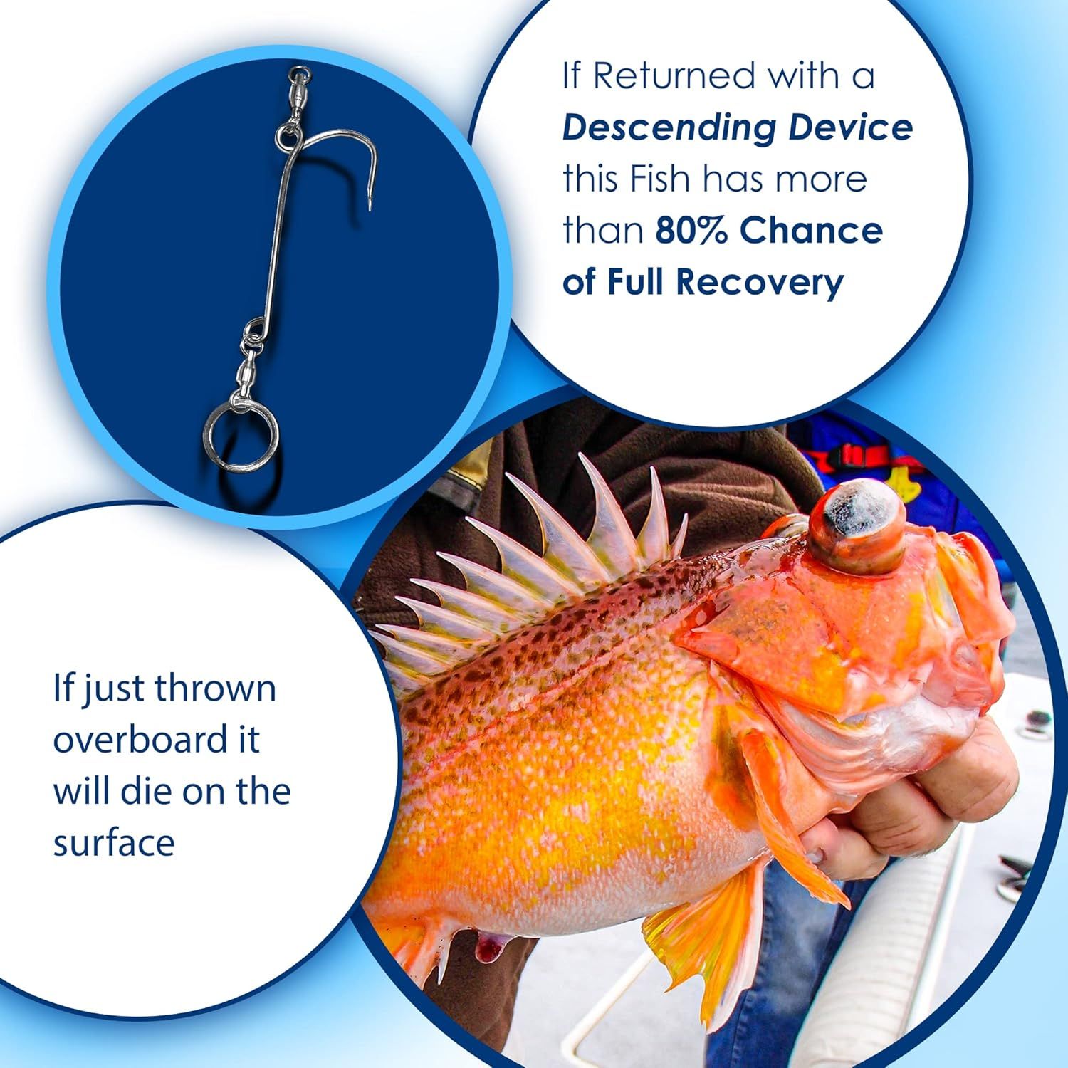 Communicates the quantifiable effectiveness of using a descending device when returning caught fish, emphasizing the product's impact on fish survival rates. Highlights the benefit of using the…