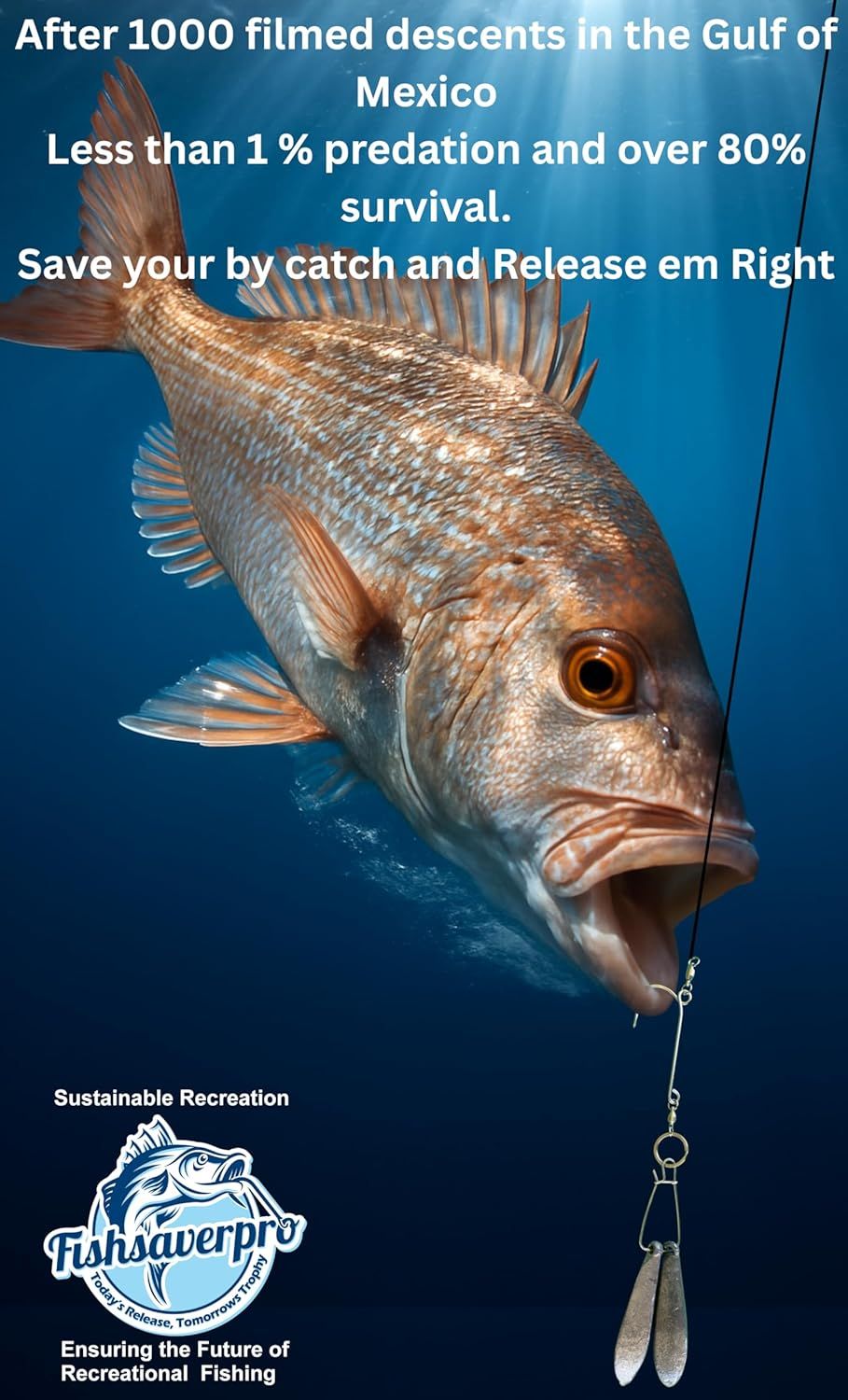 Communicates quantifiable research data (1000 filmed descents, less than 1% predation, over 80% survival) to reassure anglers that catch-and-release practices are effective and sustainable. Promotes…
