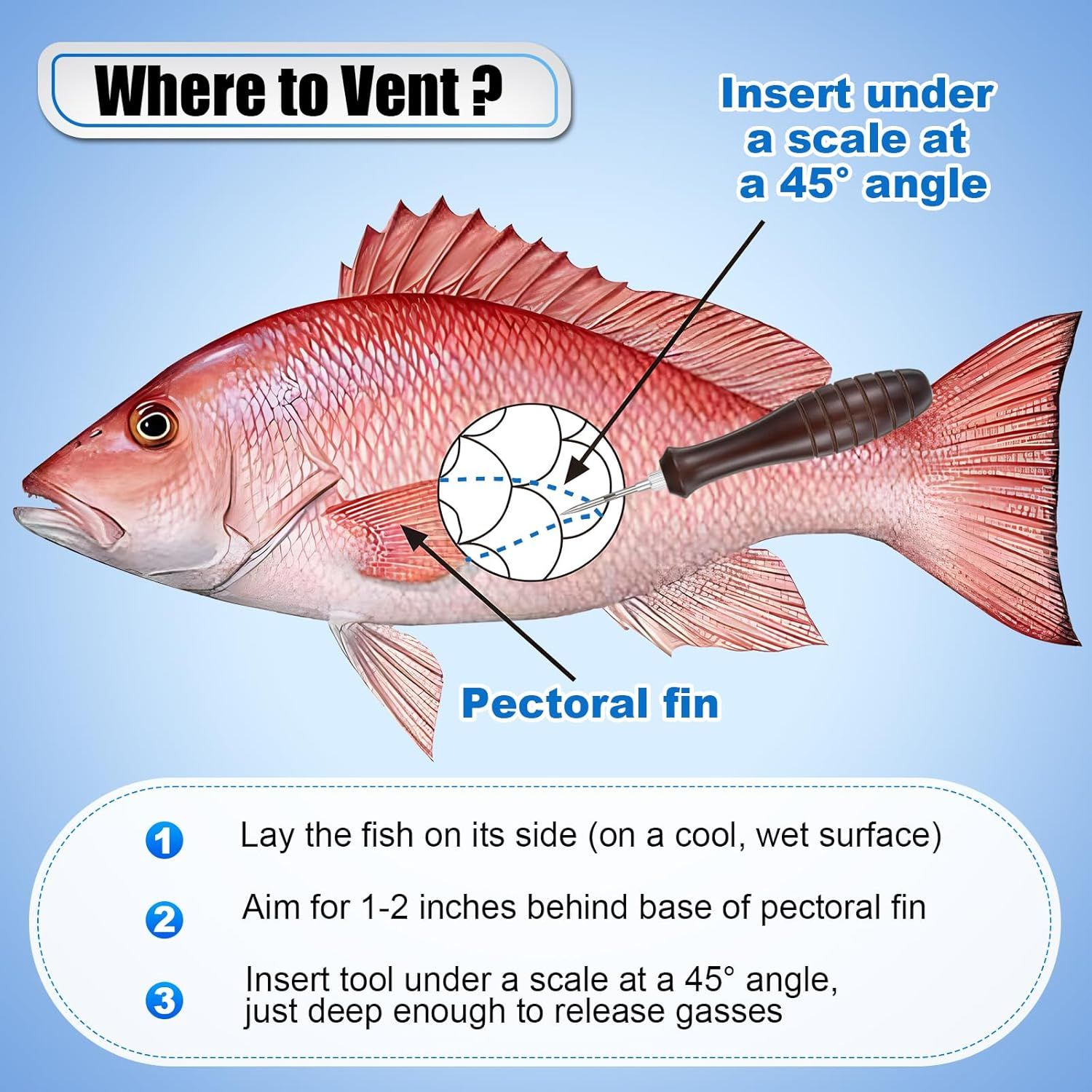 Instructs users on the correct method to vent a fish, showing where to insert the tool, at what angle, and providing step-by-step guidance to ensure proper technique.