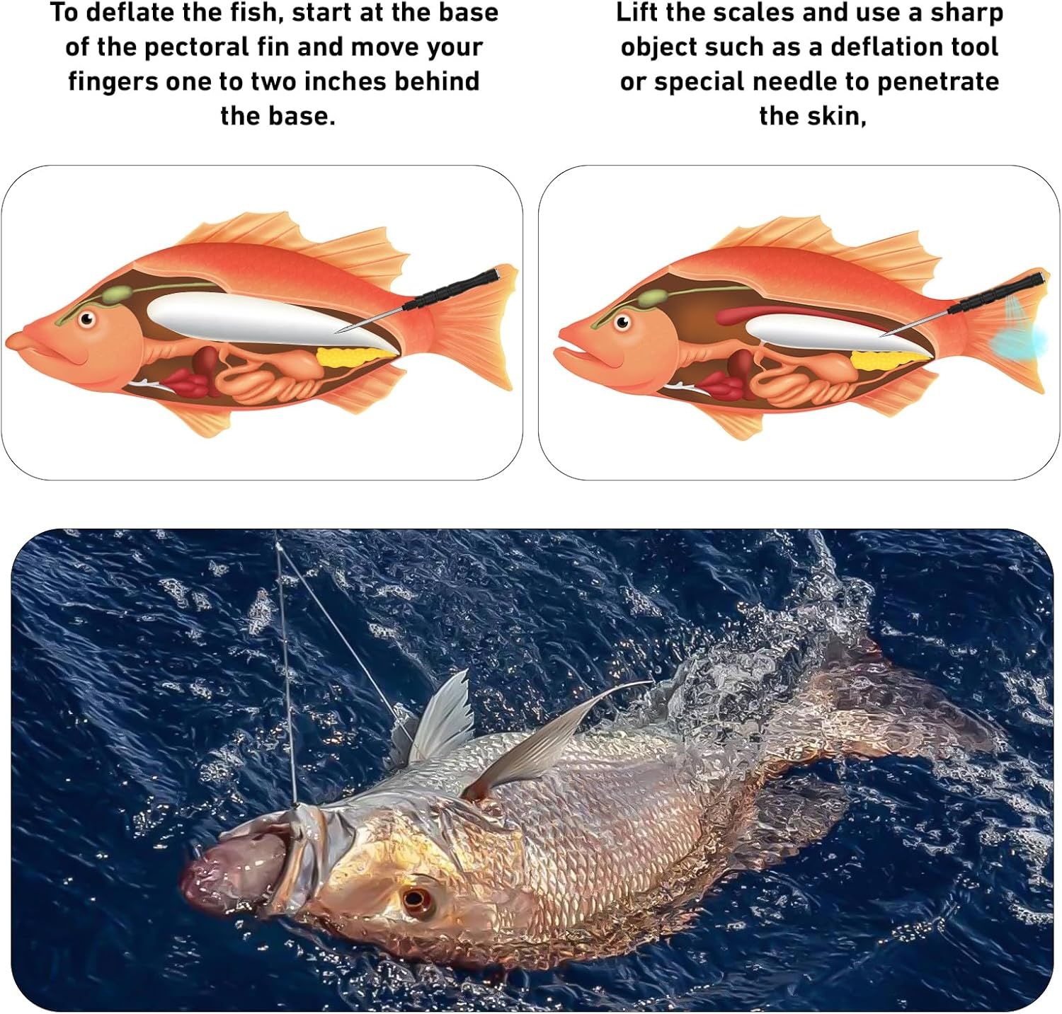 Educates anglers on the proper technique for deflating a fish to ensure safe catch-and-release practices, showing sequential steps with instructional diagrams and a real-world application photo.