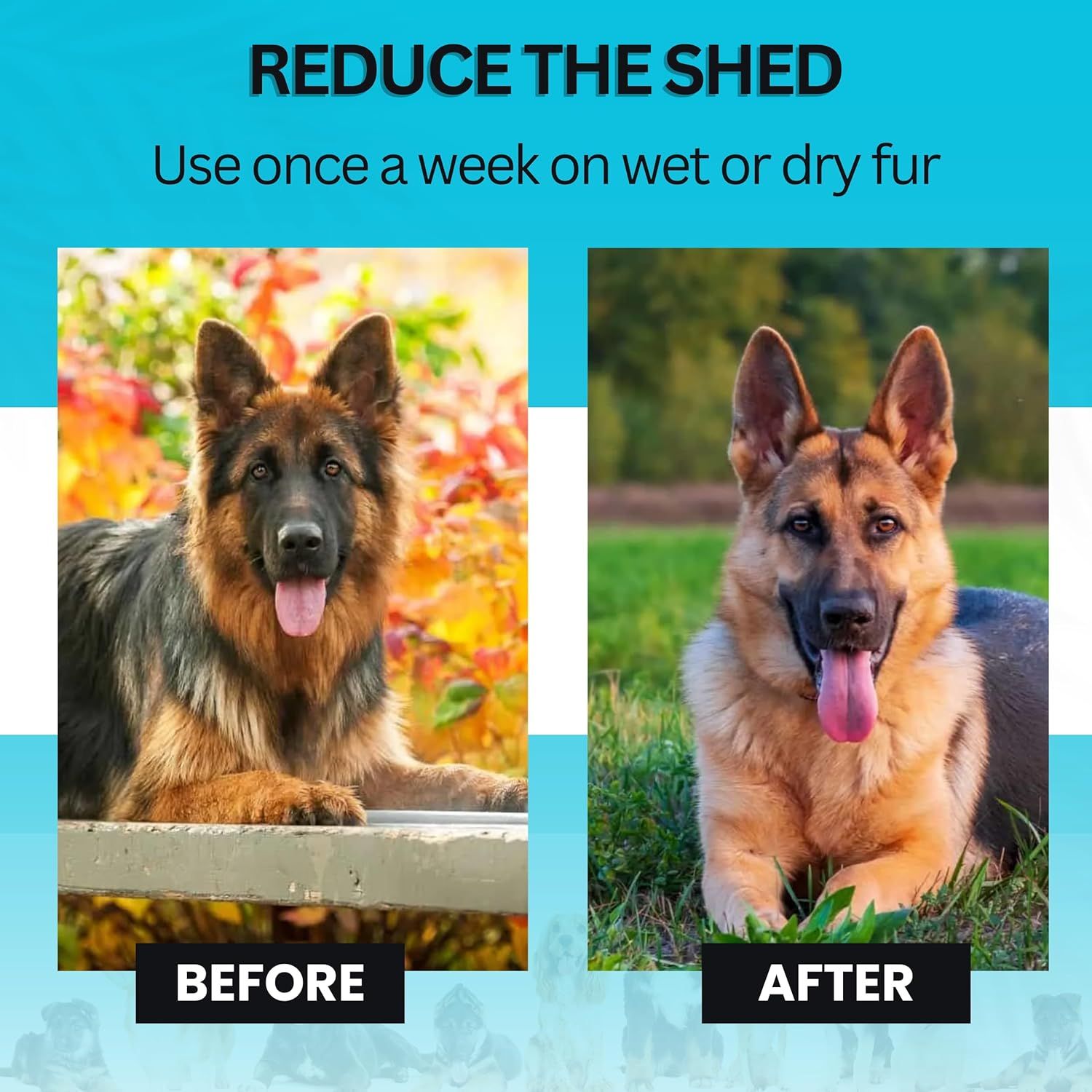 Demonstrates the product's effectiveness in reducing pet shedding by showing a visual transformation of a dog's coat from before to after use.