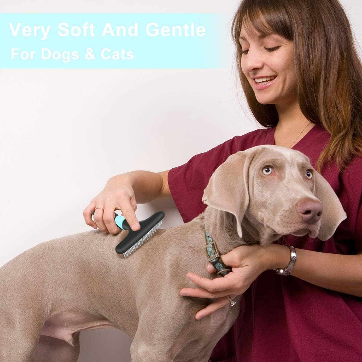 Demonstrates that the grooming brush is soft and gentle enough for use on dogs and cats, reassuring pet owners that it won't cause discomfort to their pets.