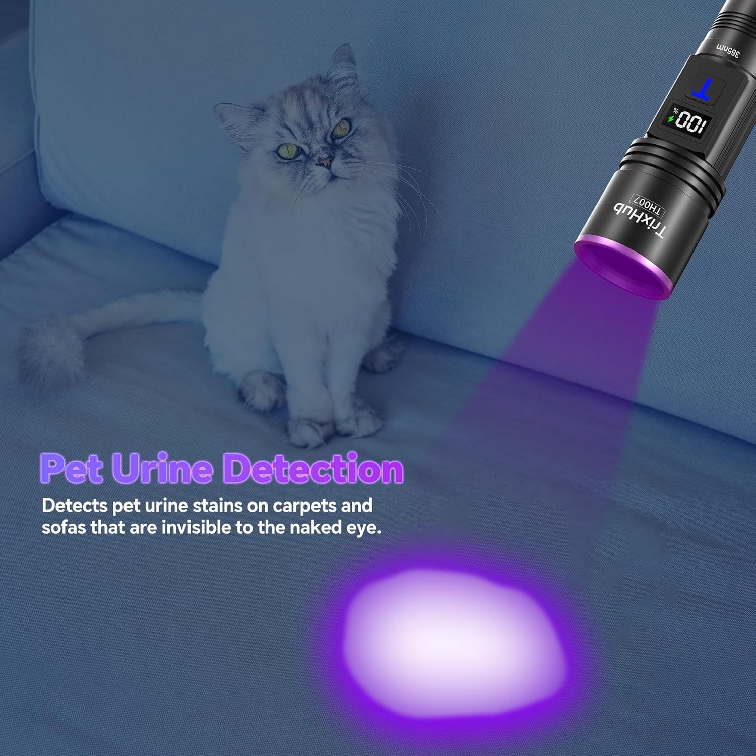 Demonstrates the flashlight's UV capability to detect invisible pet urine stains on carpets and furniture, showing a practical use case for pet owners.