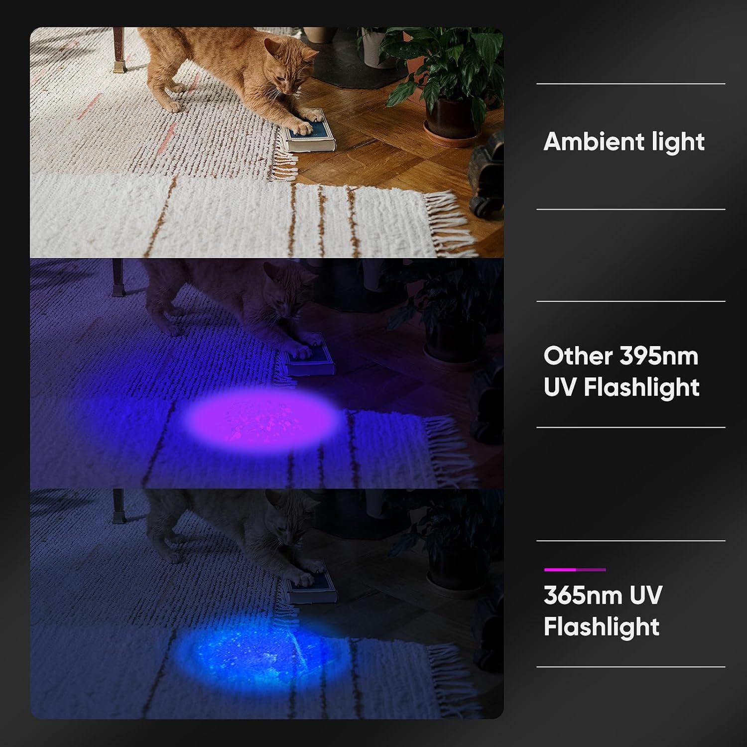 Demonstrates the superior UV detection capability of the 365nm flashlight compared to a generic 395nm competitor, showing how it reveals pet stains more effectively.