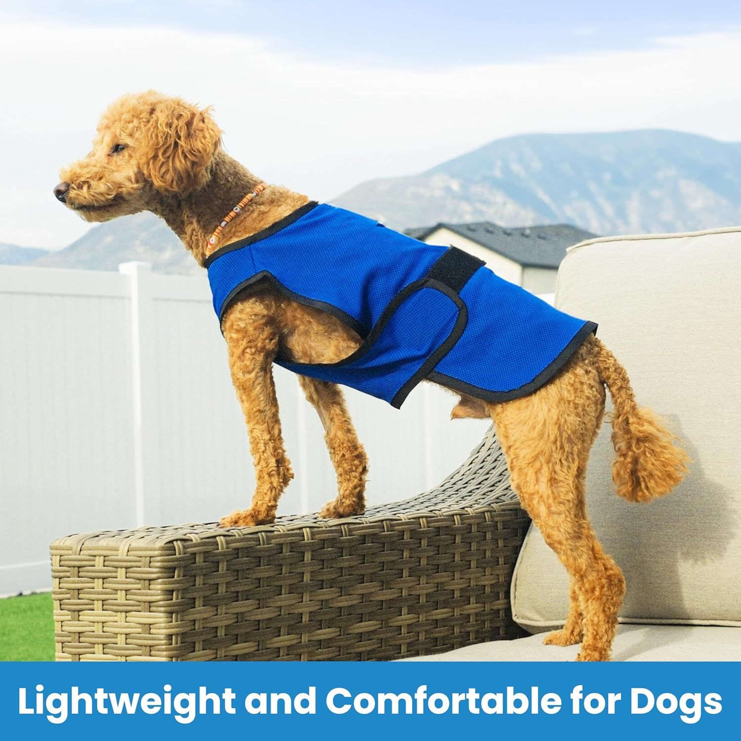 Communicates that the dog cooling vest is lightweight and comfortable for dogs to wear, reassuring pet owners that their dogs will be at ease.