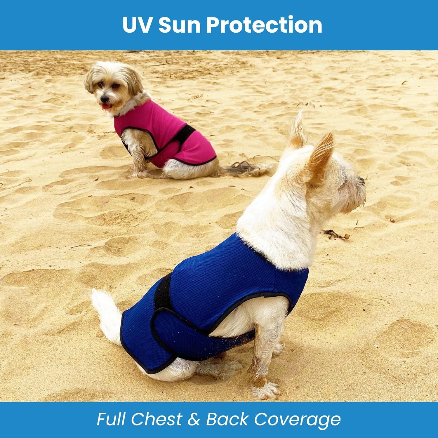 Highlights the vest's UV sun protection and full coverage design to reassure pet owners that their dogs are protected from harmful sun exposure.