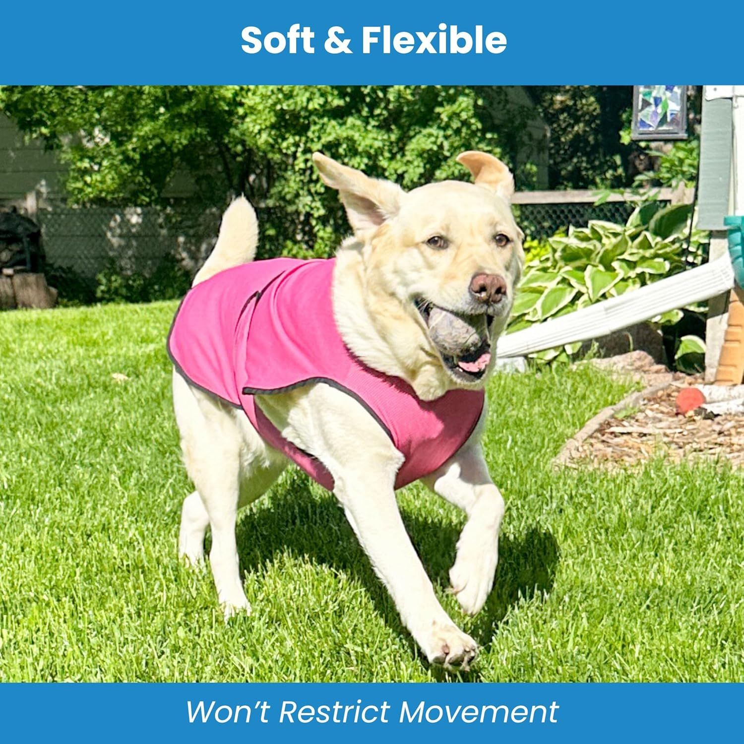 Reassures pet owners that the vest is soft, flexible, and allows dogs to move freely without restriction, ensuring comfort during activity.