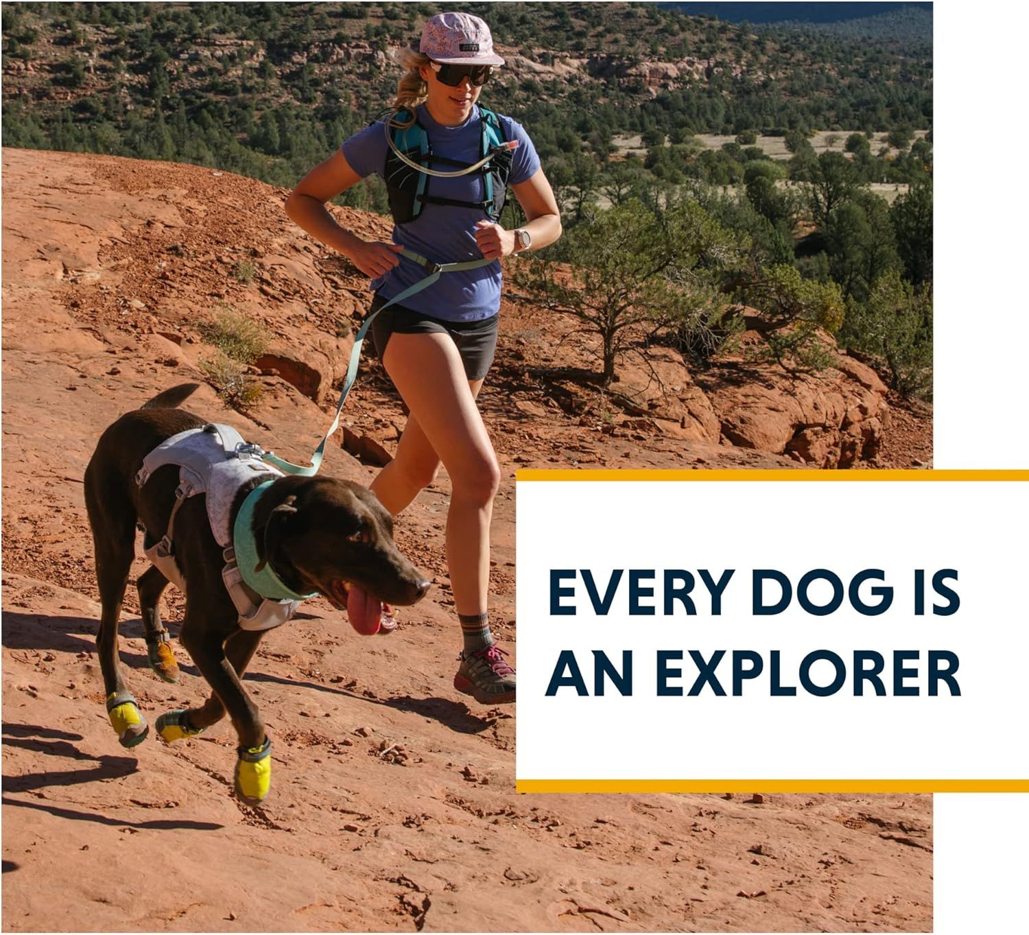 Shows the product in use during an outdoor adventure, helping shoppers visualize their dog enjoying active exploration.