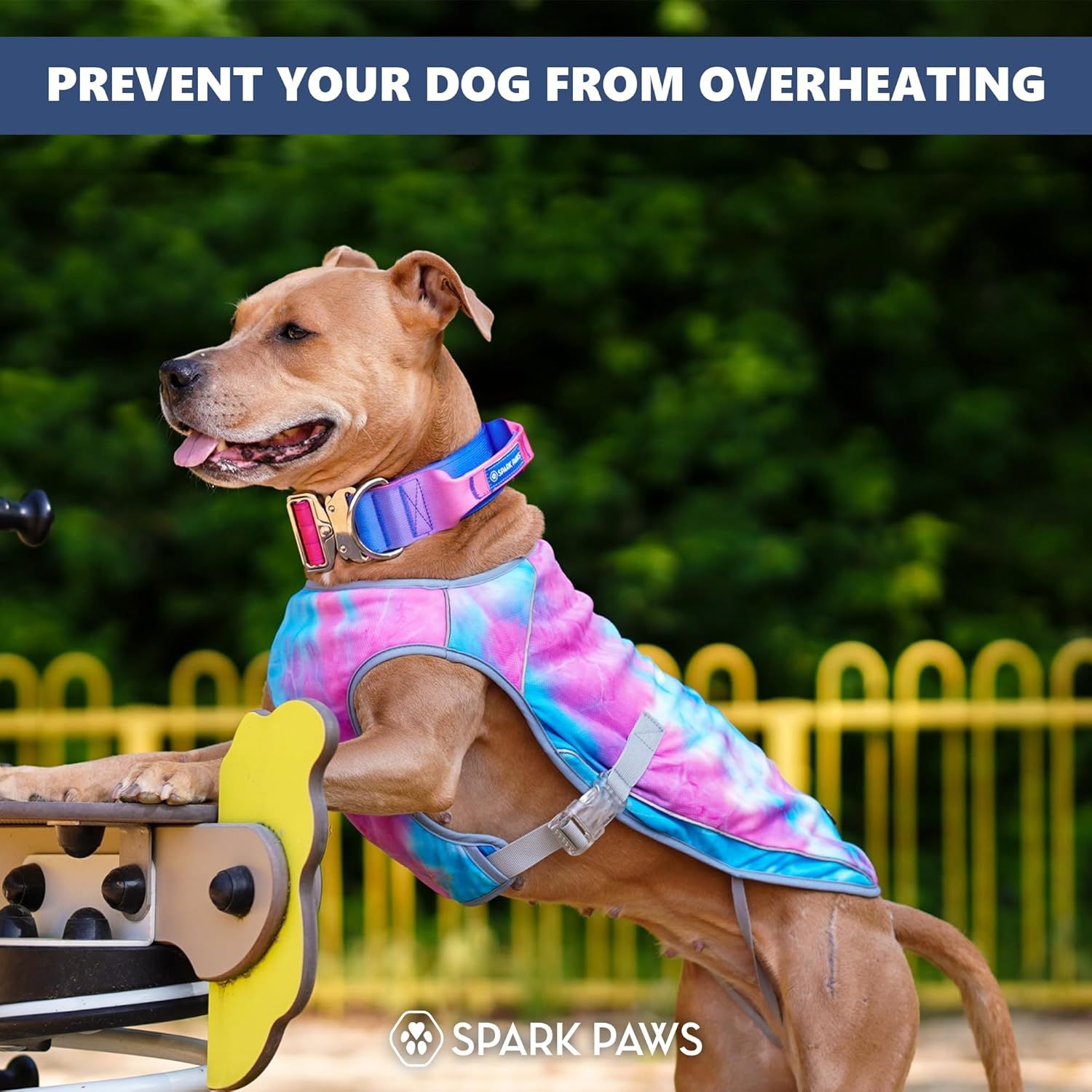 Shows the product in a real-world outdoor setting with a dog playing, helping shoppers visualize the vest in use during active play.