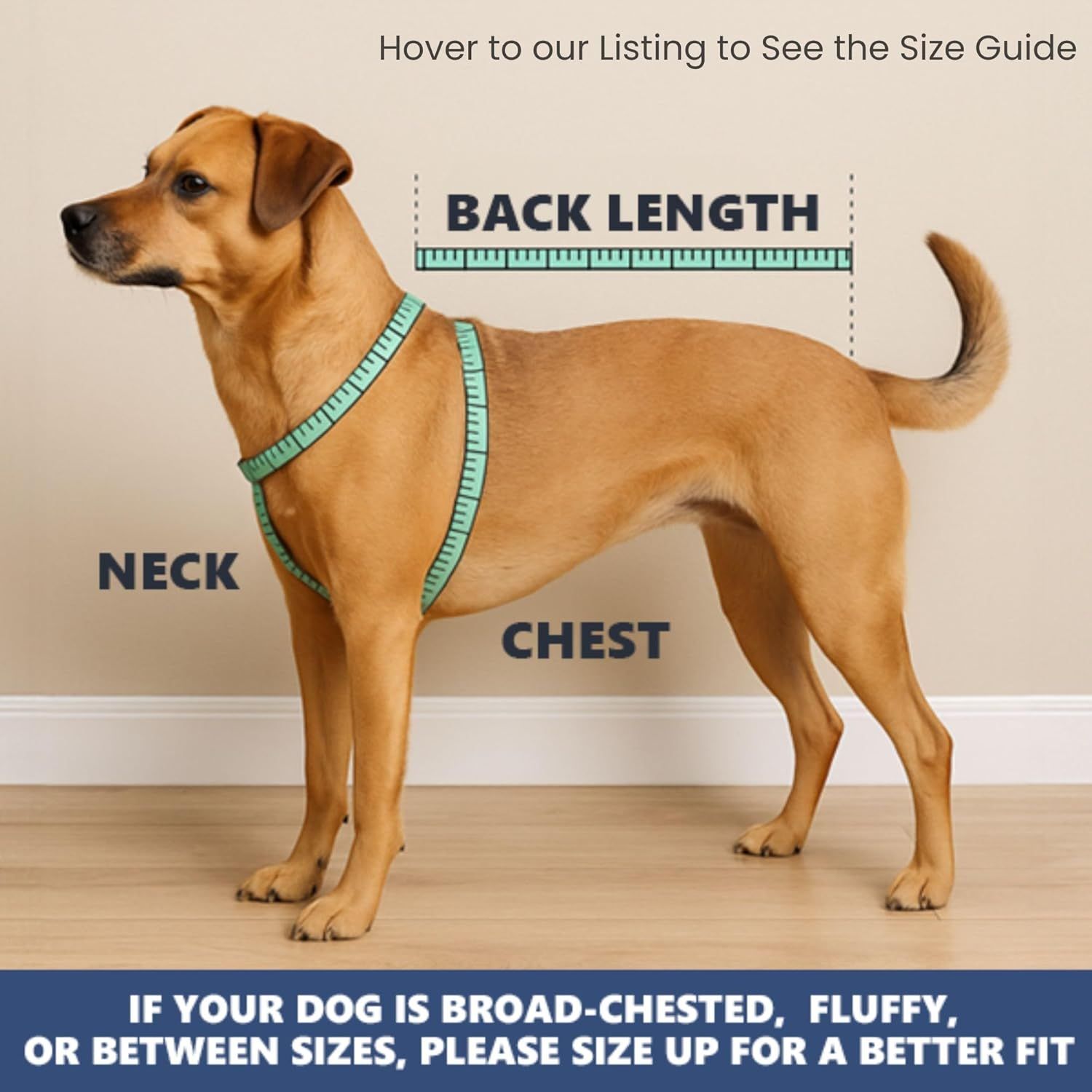 Helps shoppers determine the correct size for their dog by showing where and how to measure key body dimensions.