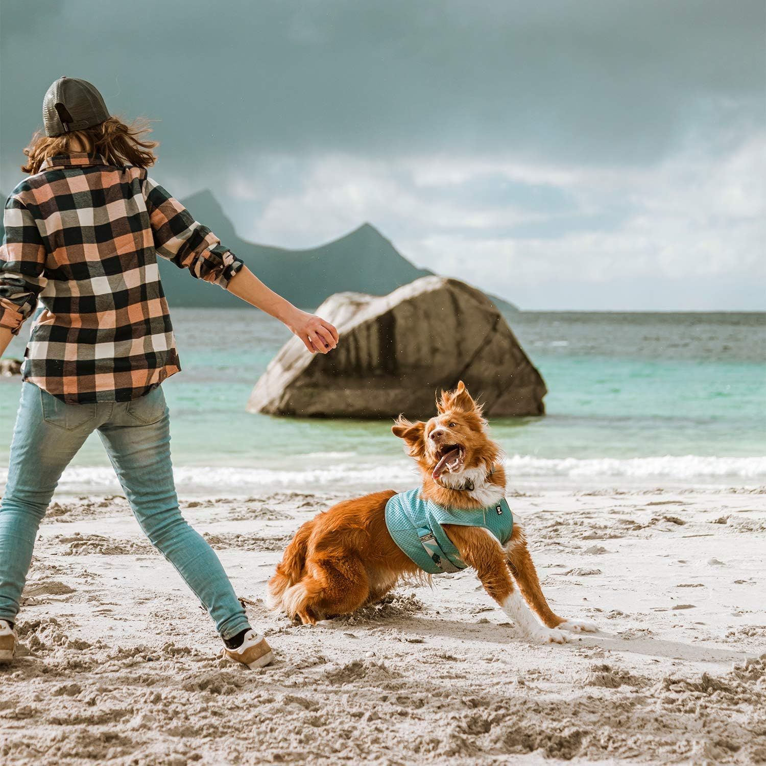 Displays the product being used in a natural outdoor environment with owner and dog interaction, emphasizing real-world lifestyle context without text overlays.
