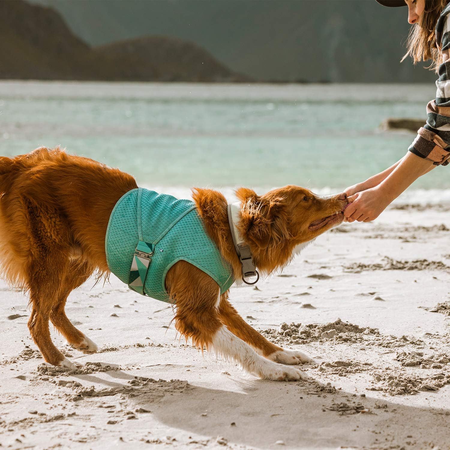 Shows the product in use during a beach outing with owner-dog bonding, providing a lifestyle context without any text or feature callouts.