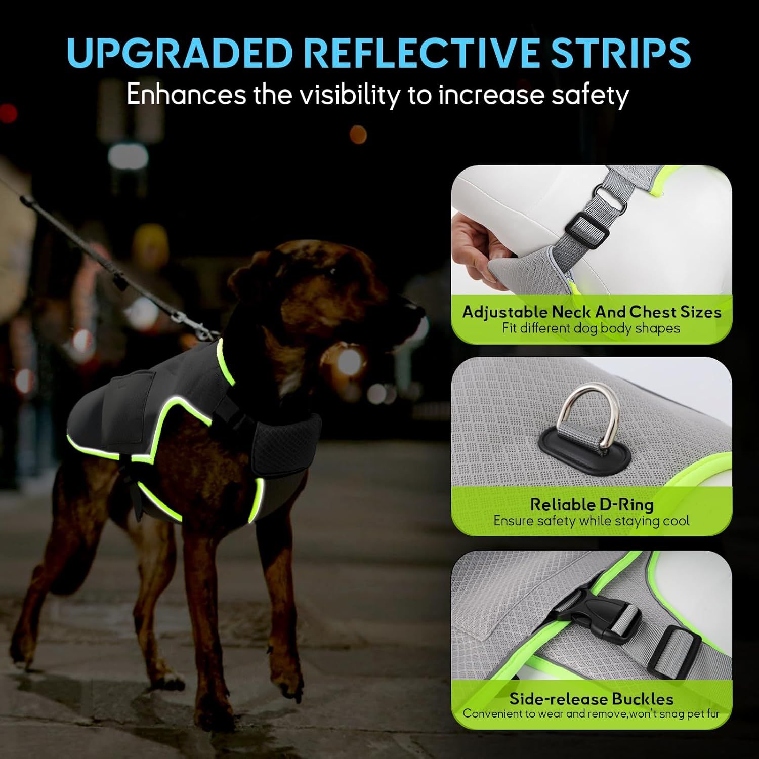 Showcases multiple distinct benefits in a segmented layout: enhanced visibility for safety, adjustable fit for different dog sizes, reliable D-ring for leash attachment, and convenient buckles for…