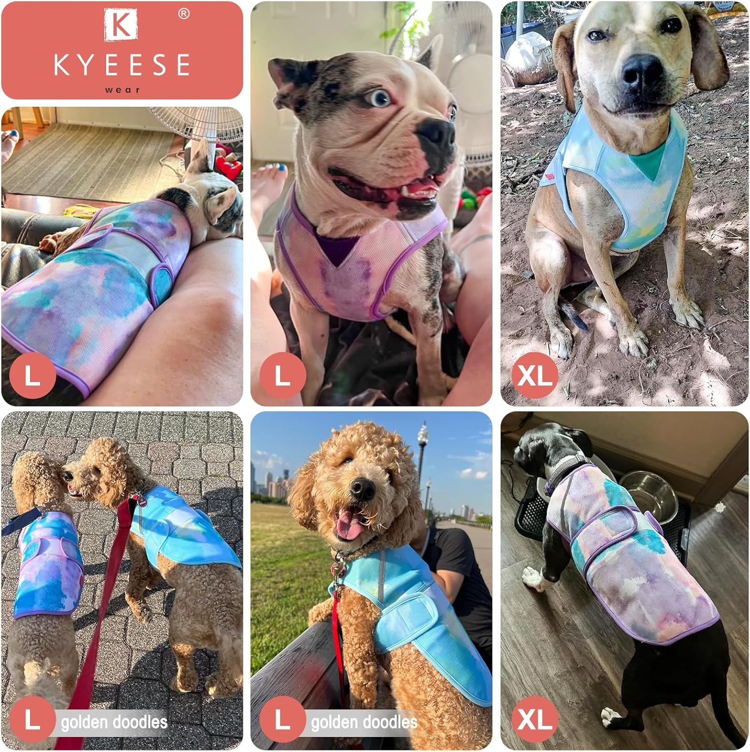Shows real customer photos of dogs wearing the product in various sizes to build trust and help shoppers visualize fit.