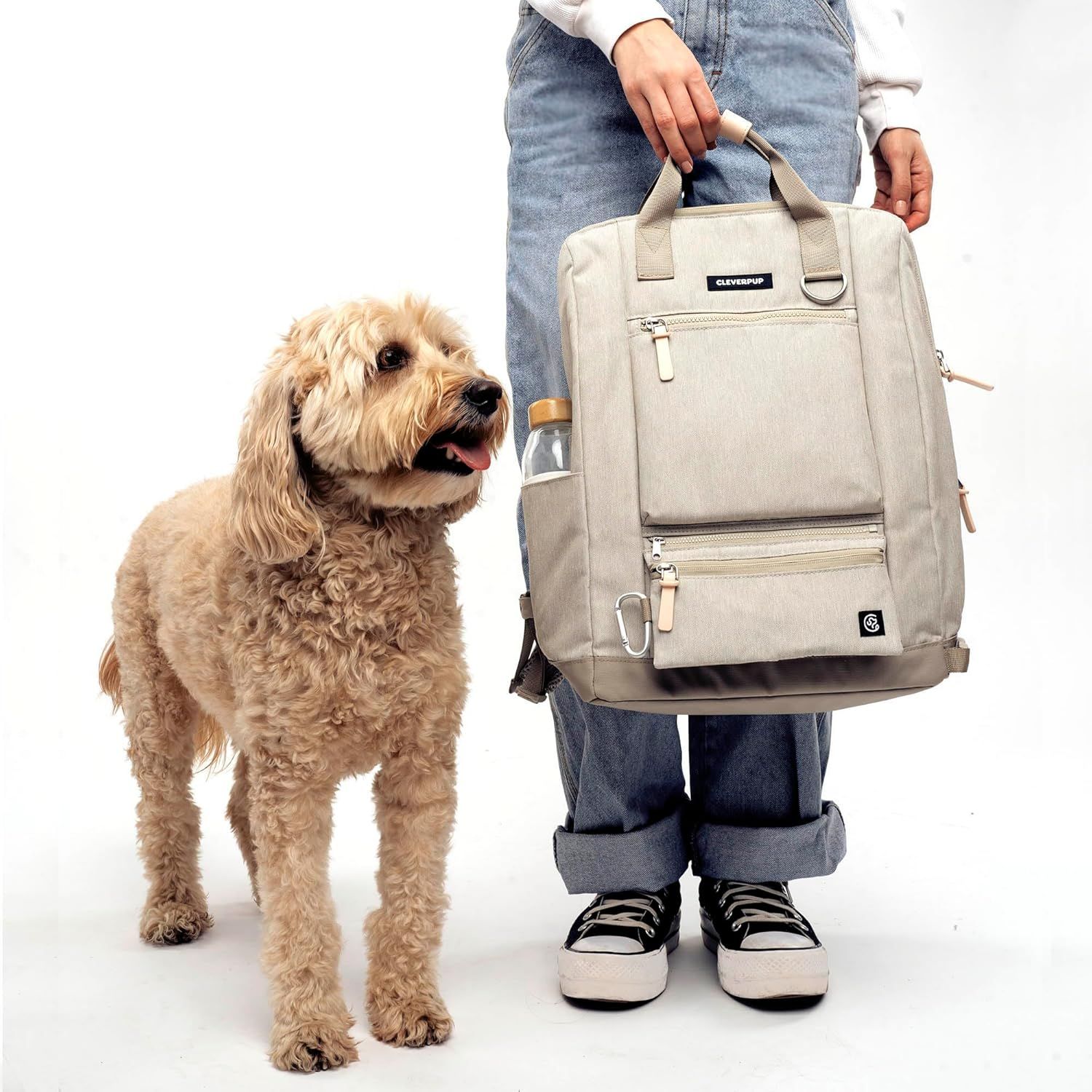 Demonstrates the backpack in a real-world context with a dog, showing its practical use for pet owners without any text overlay.