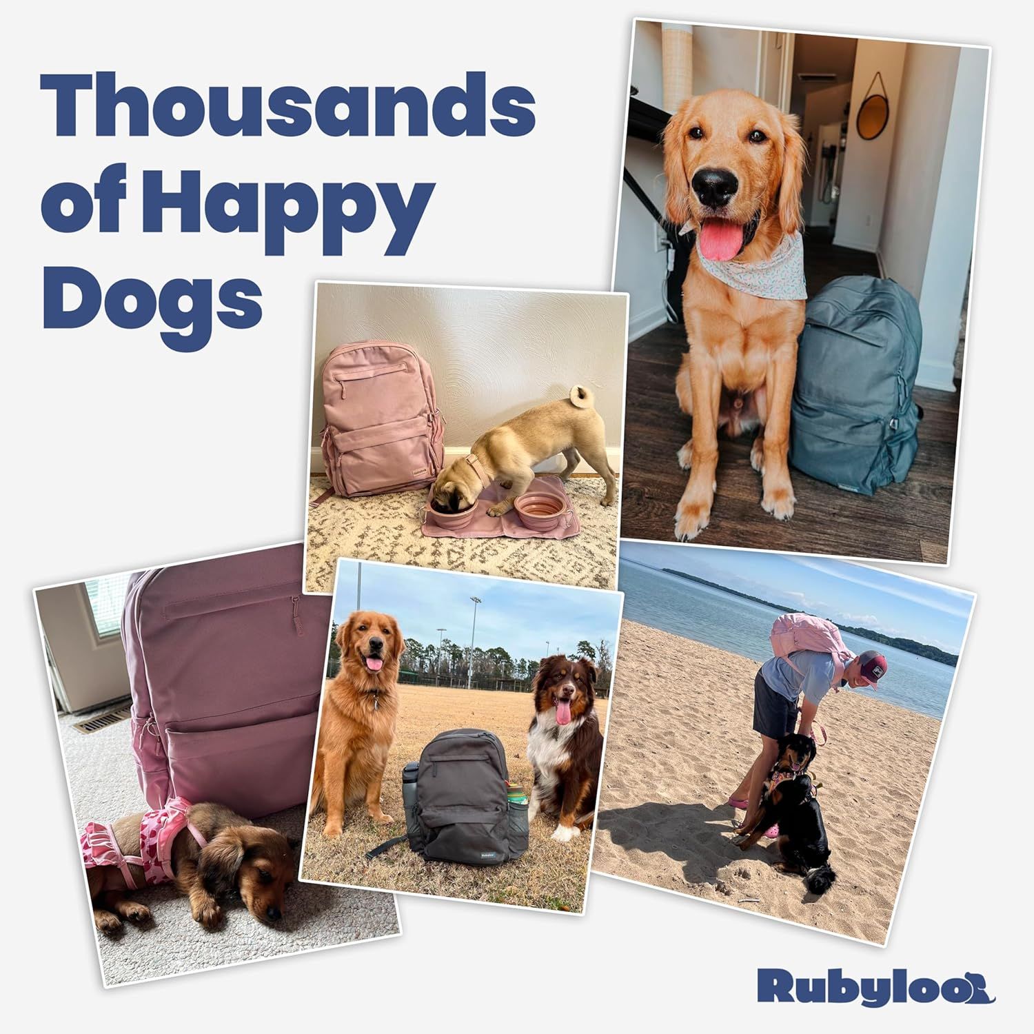 Builds social proof and trust by showing real customer photos of happy dogs using the backpack in various home and outdoor settings.