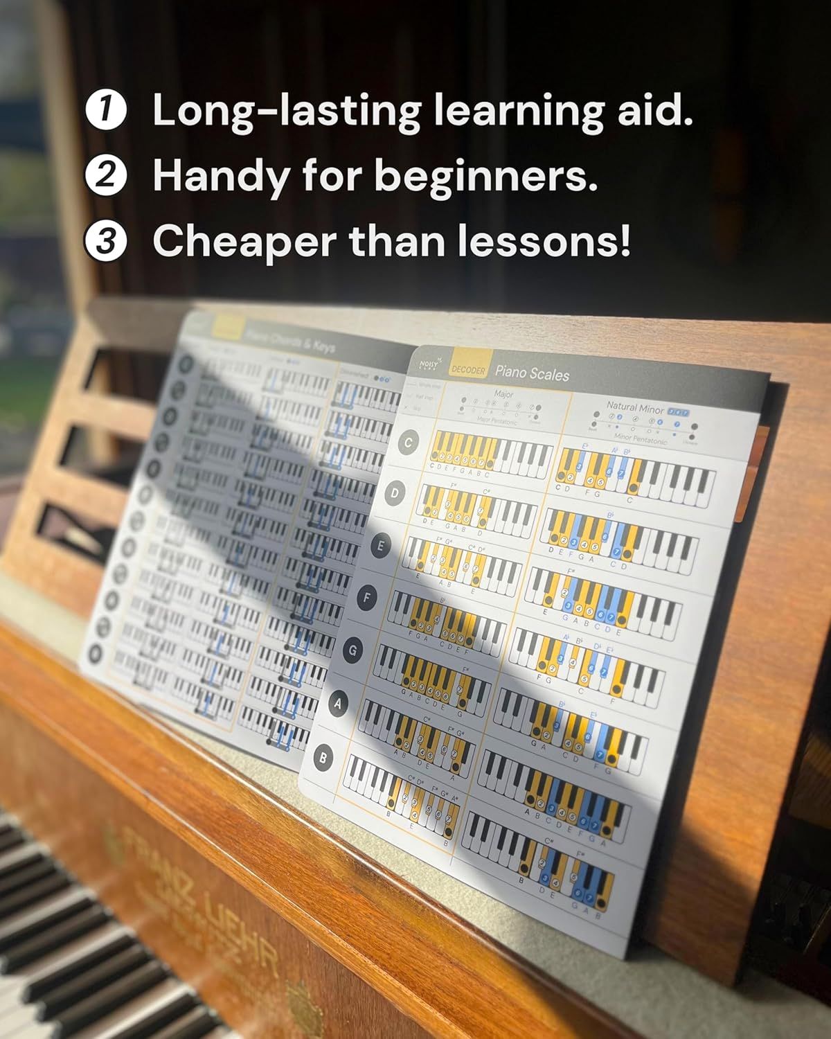 Highlights three key selling points in a numbered list: durability as a learning aid, suitability for beginners, and value compared to lessons.