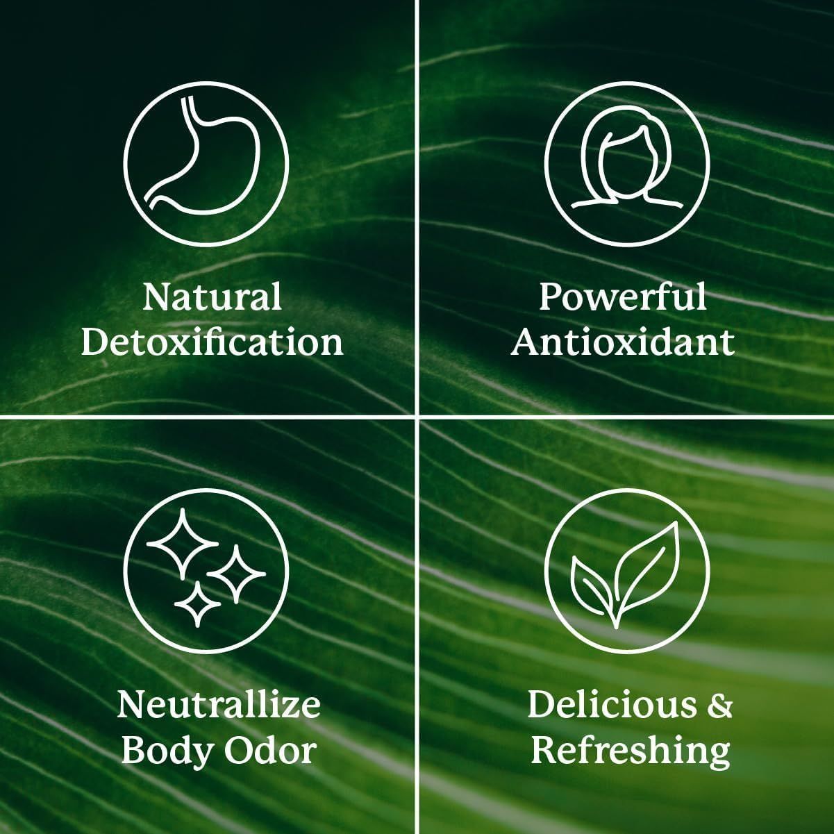 Showcases four distinct product benefits in a segmented grid layout with icons to communicate the comprehensive wellness advantages of the chlorophyll supplement.