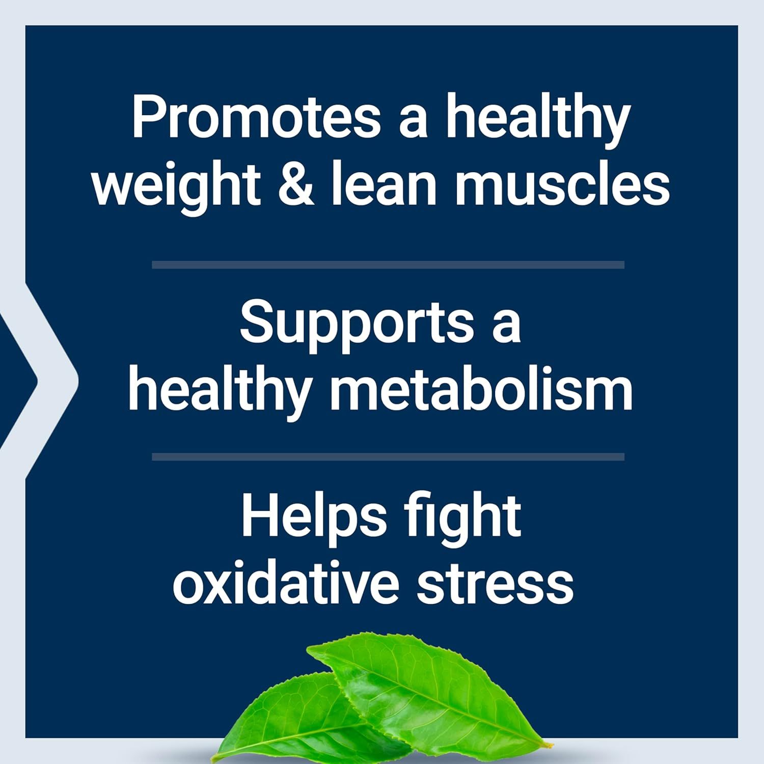 Highlights multiple key benefits of the supplement in a segmented layout to communicate comprehensive health support across weight management, muscle building, metabolism, and antioxidant protection.