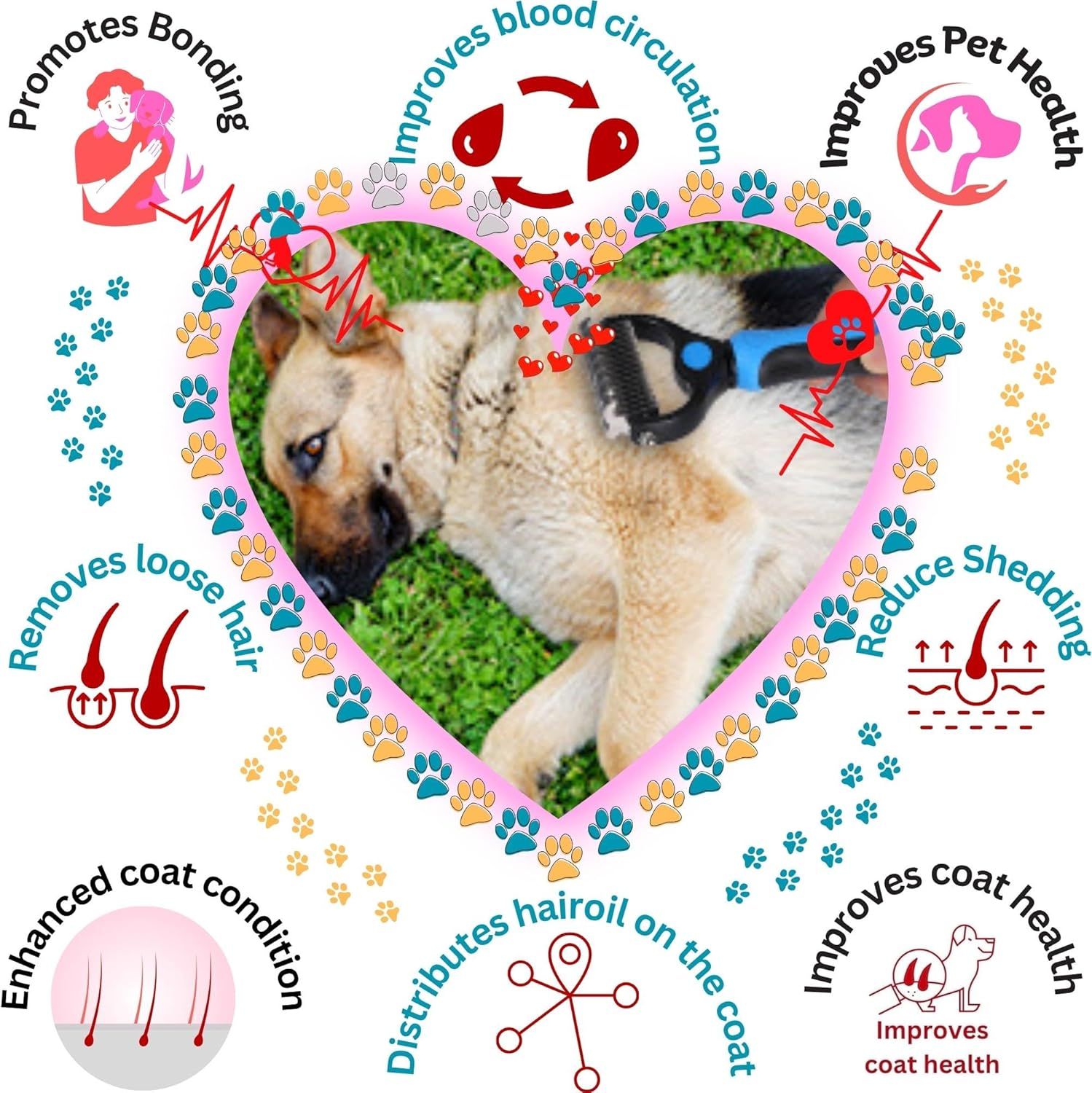 Showcases multiple health and grooming benefits of the product in a segmented circular layout to reassure pet owners of comprehensive care.