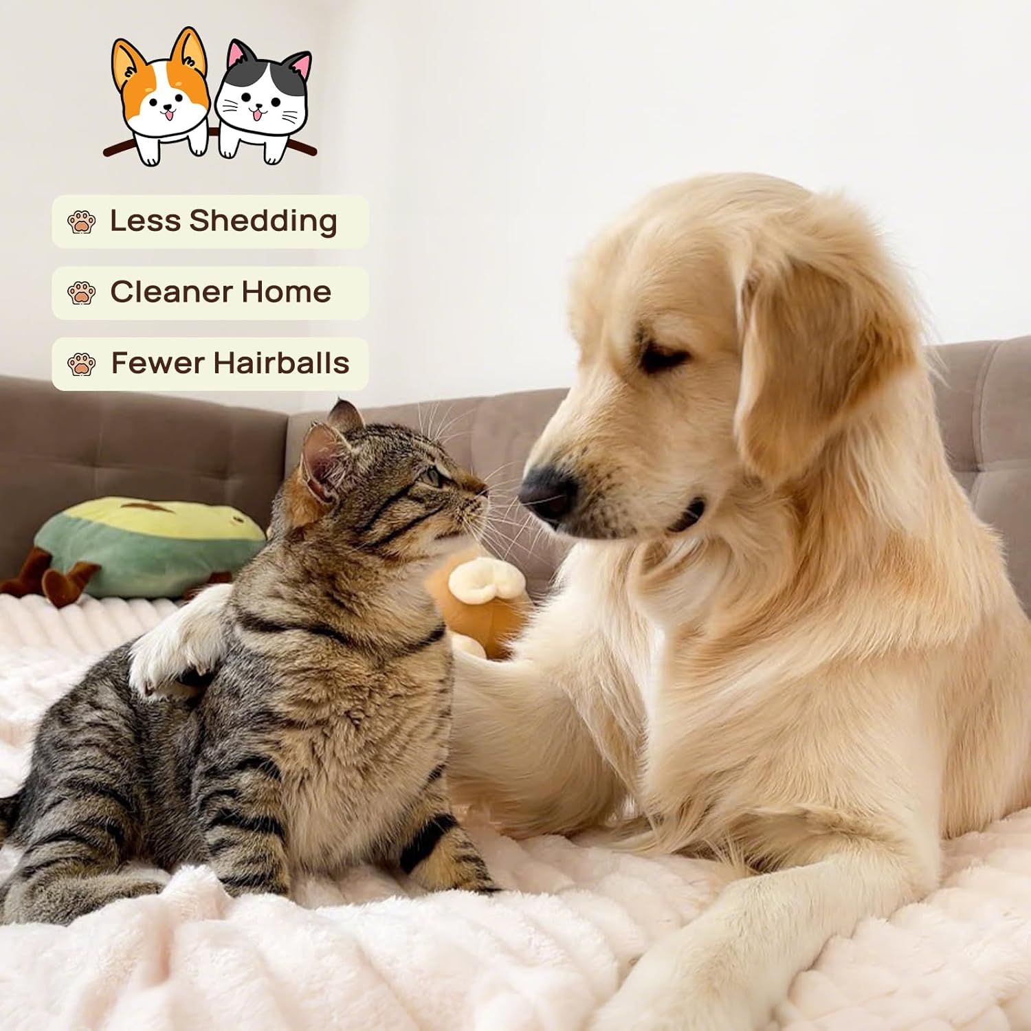 Highlights multiple distinct benefits of using the grooming tool in a segmented list format, showing how it improves pet health and home cleanliness.