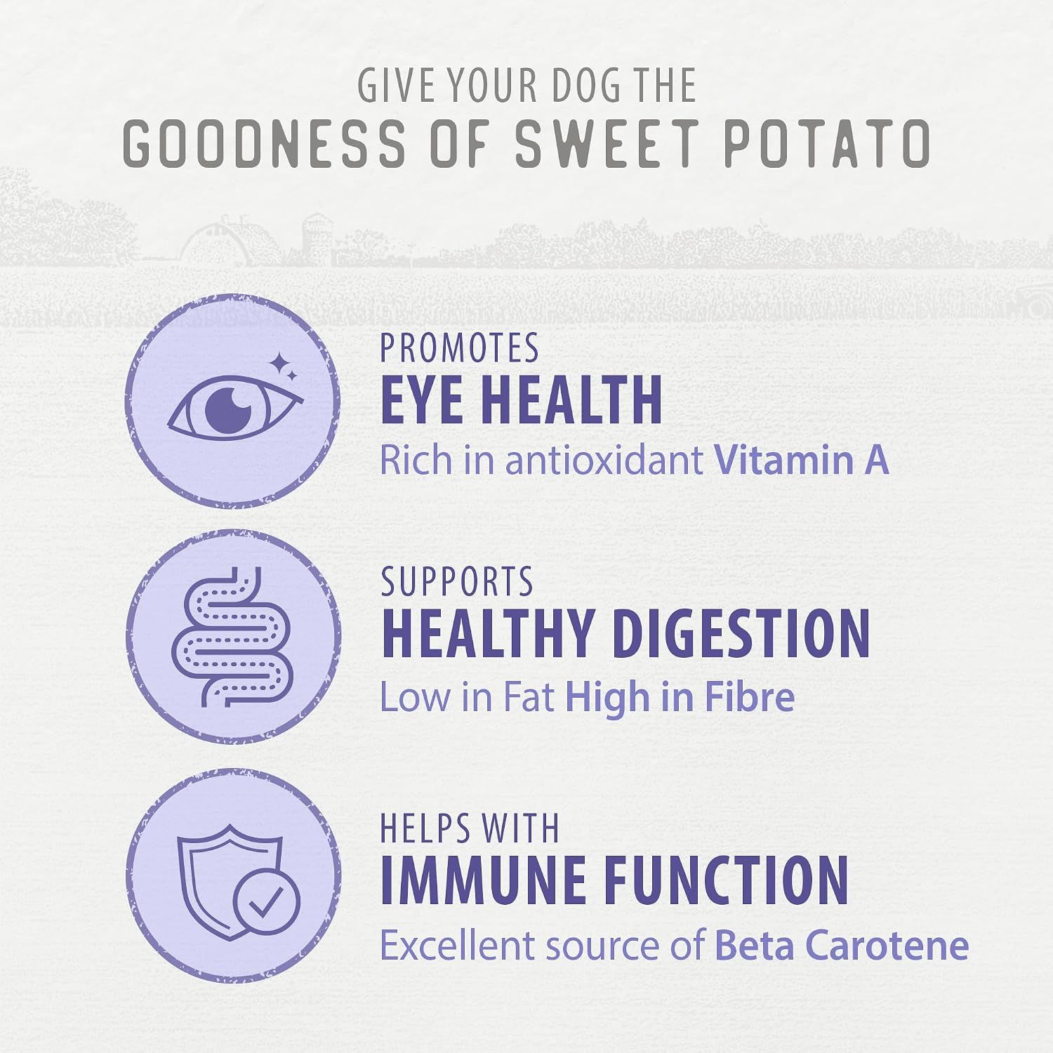 Highlights three distinct health benefits of sweet potato for dogs: promotes eye health through Vitamin A, supports healthy digestion with high fiber, and helps immune function via Beta Carotene.