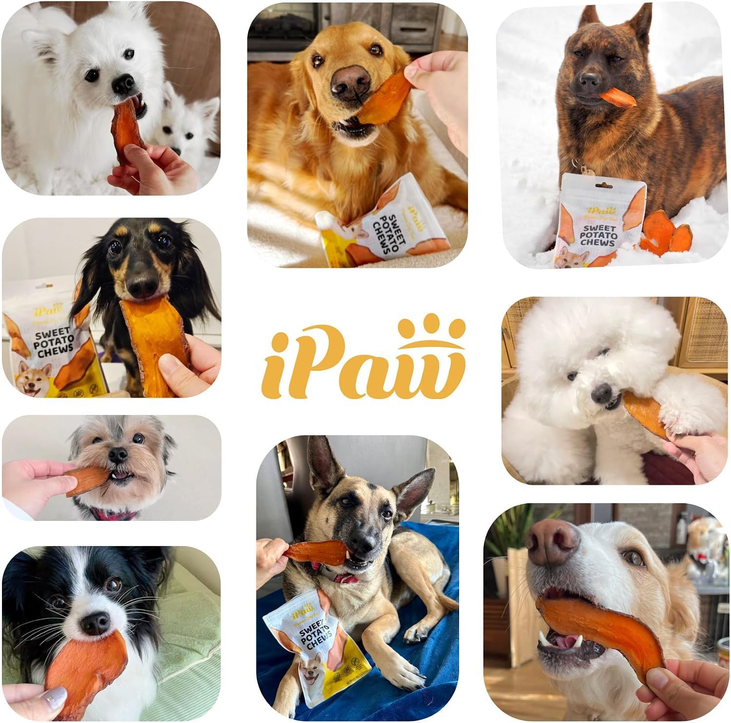 Builds social proof and trust by showcasing real customer photos of various dogs enjoying the sweet potato chews, demonstrating broad appeal and satisfaction.